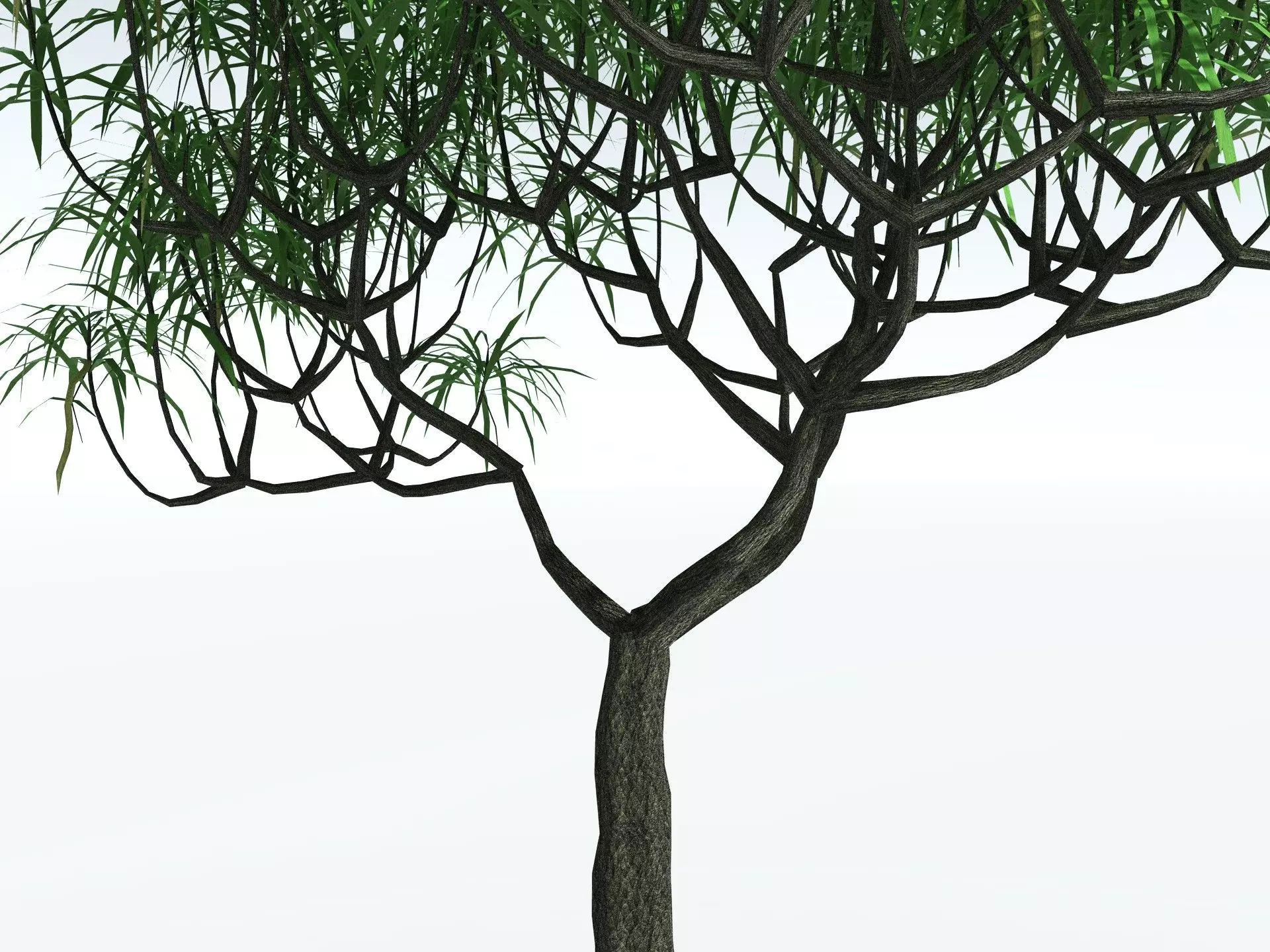 EVERYPlant Lepidodendron Aculeatum LowPoly Low-poly 3D model_21