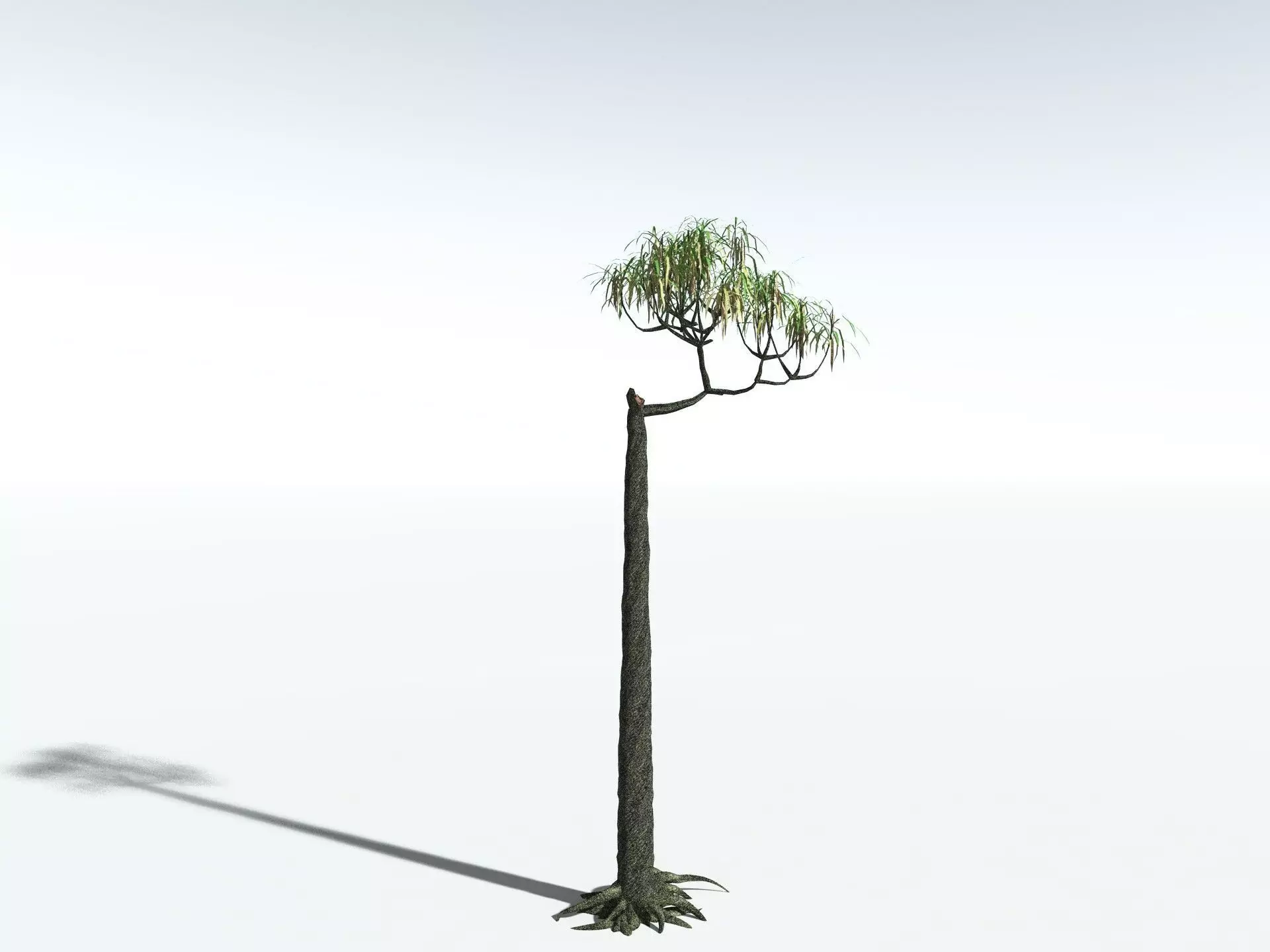 EVERYPlant Lepidodendron Aculeatum LowPoly Low-poly 3D model_14