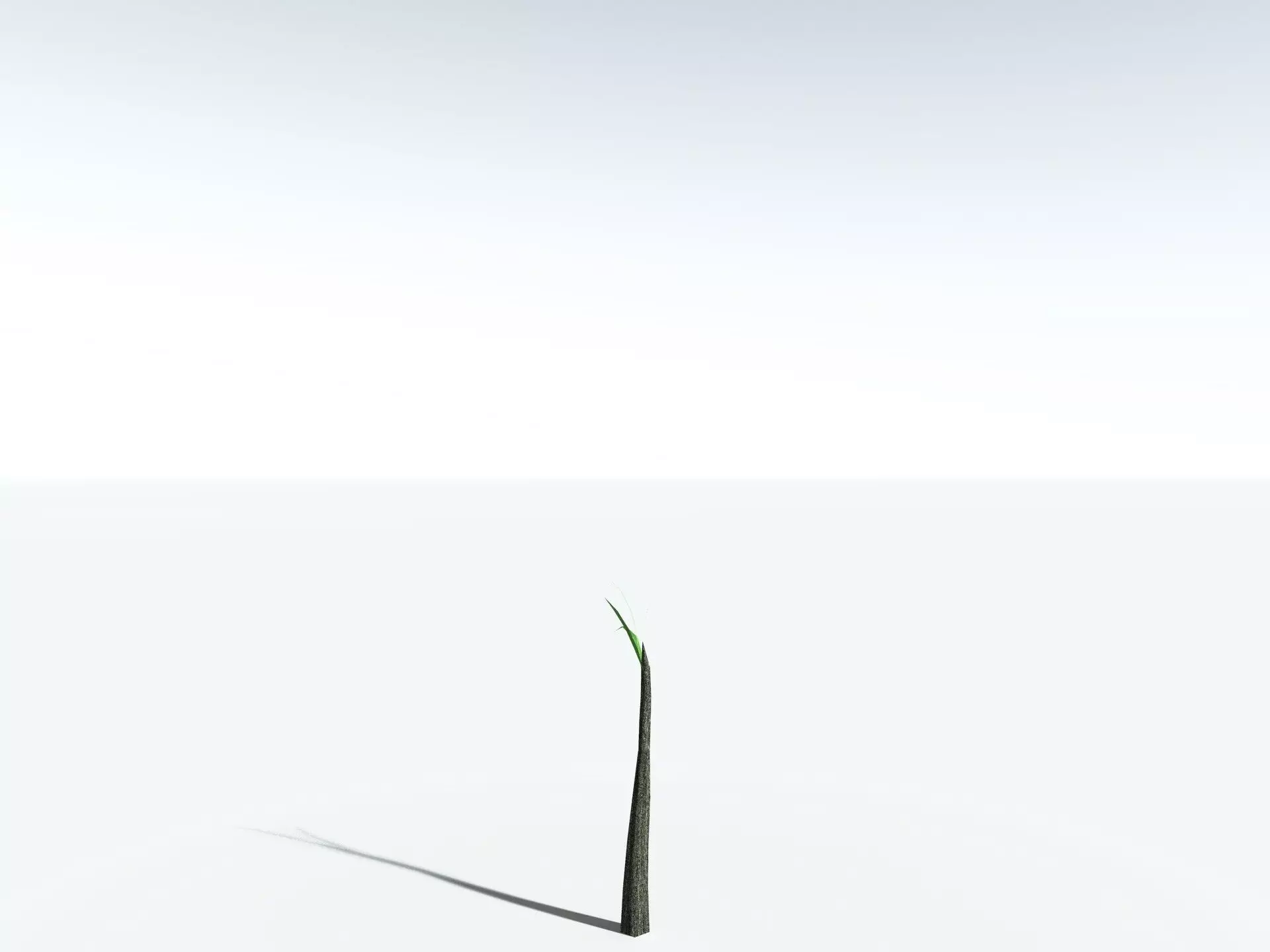 EVERYPlant Lepidodendron Aculeatum LowPoly Low-poly 3D model_29