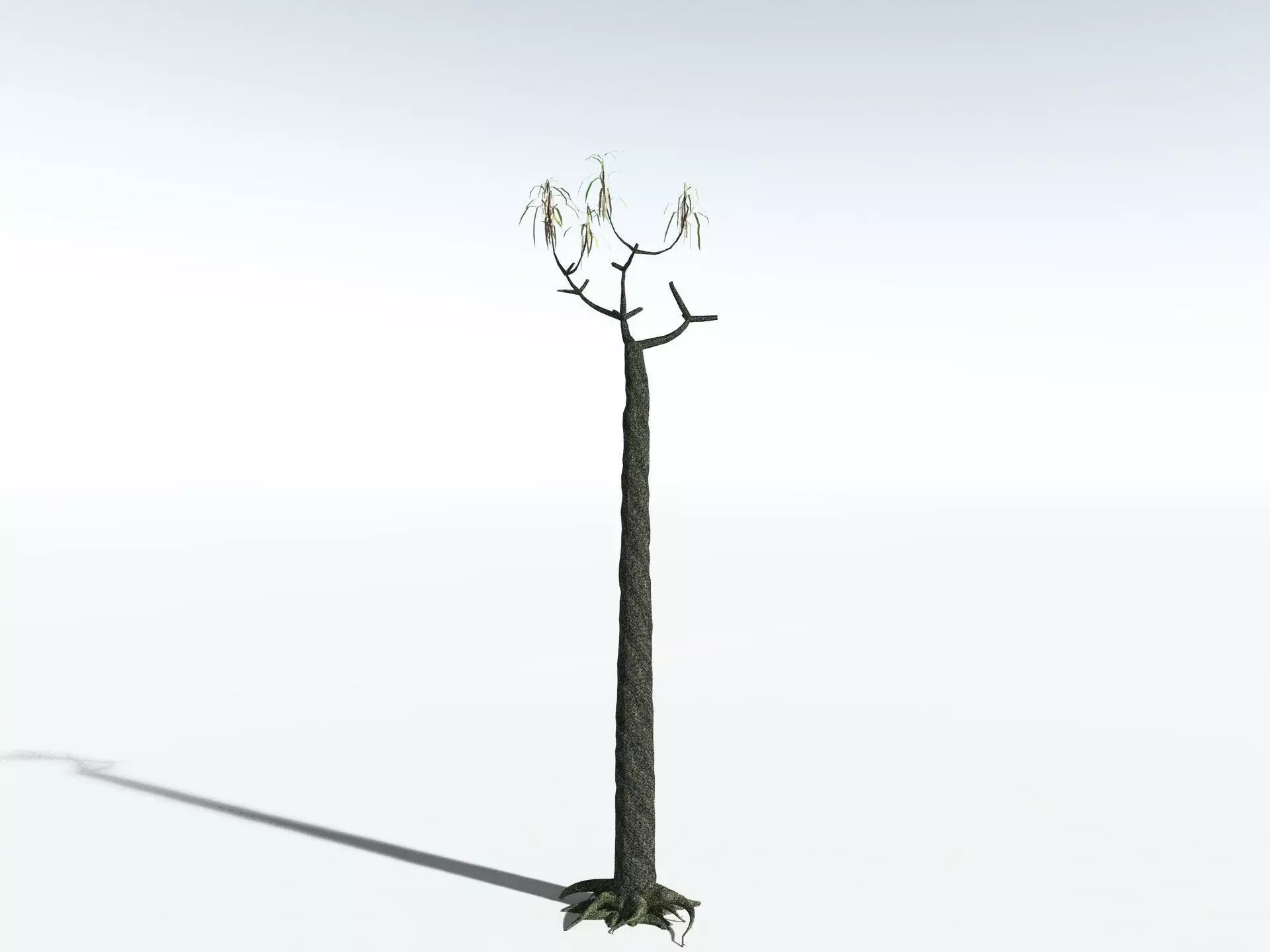 EVERYPlant Lepidodendron Aculeatum LowPoly Low-poly 3D model_16