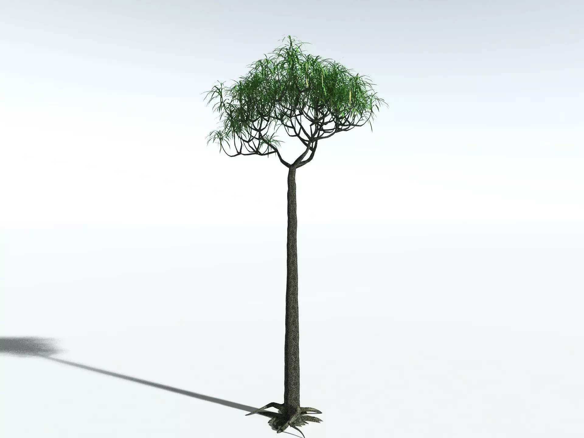 EVERYPlant Lepidodendron Aculeatum LowPoly Low-poly 3D model_20