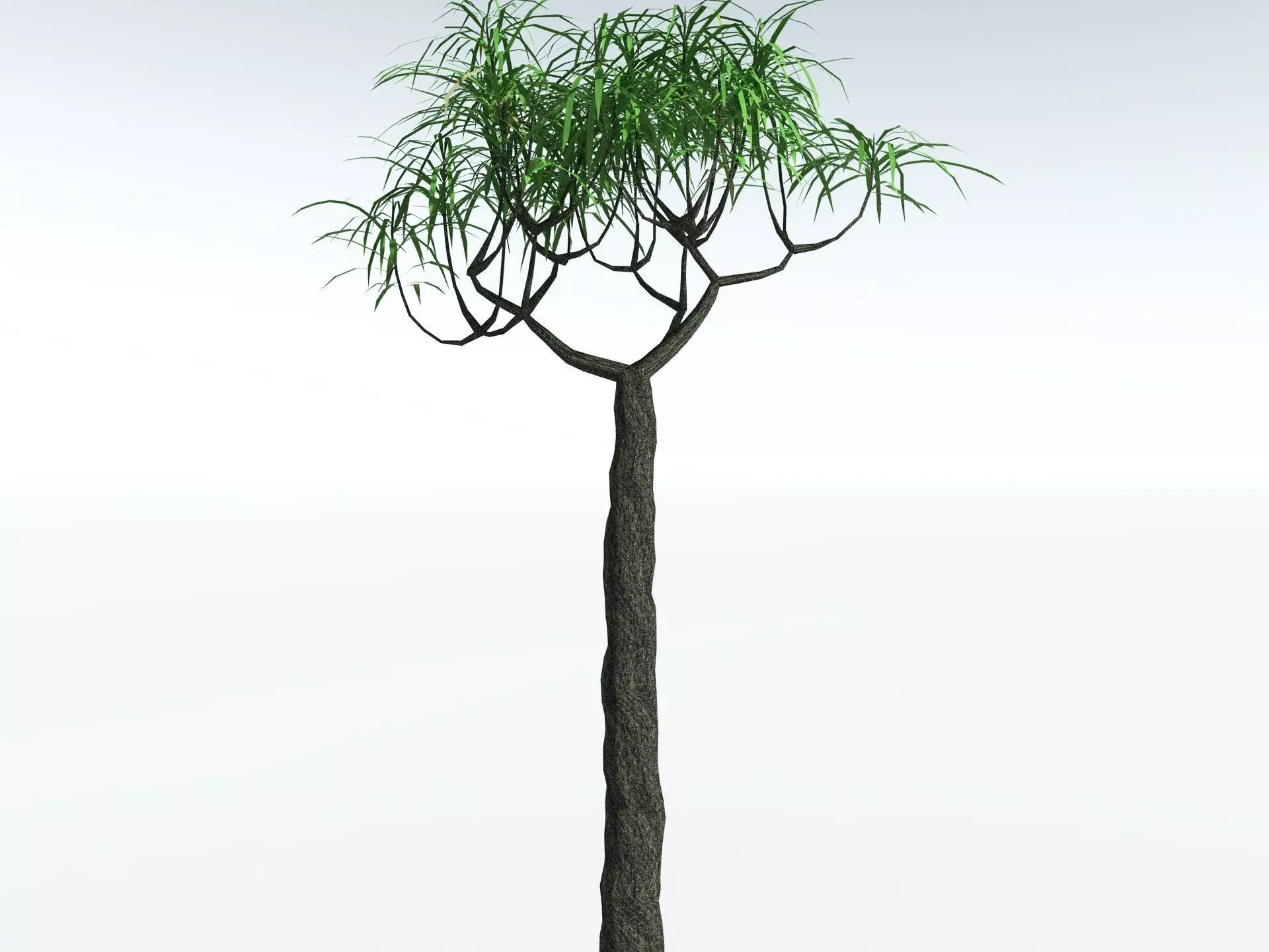 EVERYPlant Lepidodendron Aculeatum LowPoly Low-poly 3D model_23