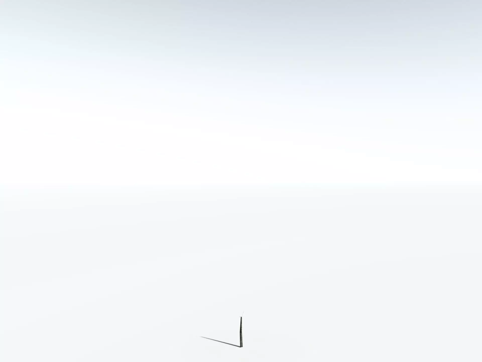 EVERYPlant Lepidodendron Aculeatum LowPoly Low-poly 3D model_26