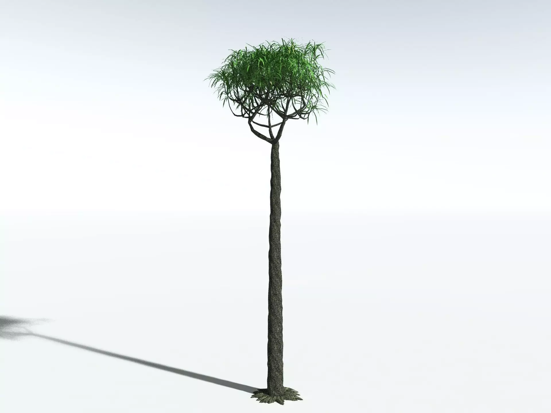 EVERYPlant Lepidodendron Aculeatum LowPoly Low-poly 3D model_2