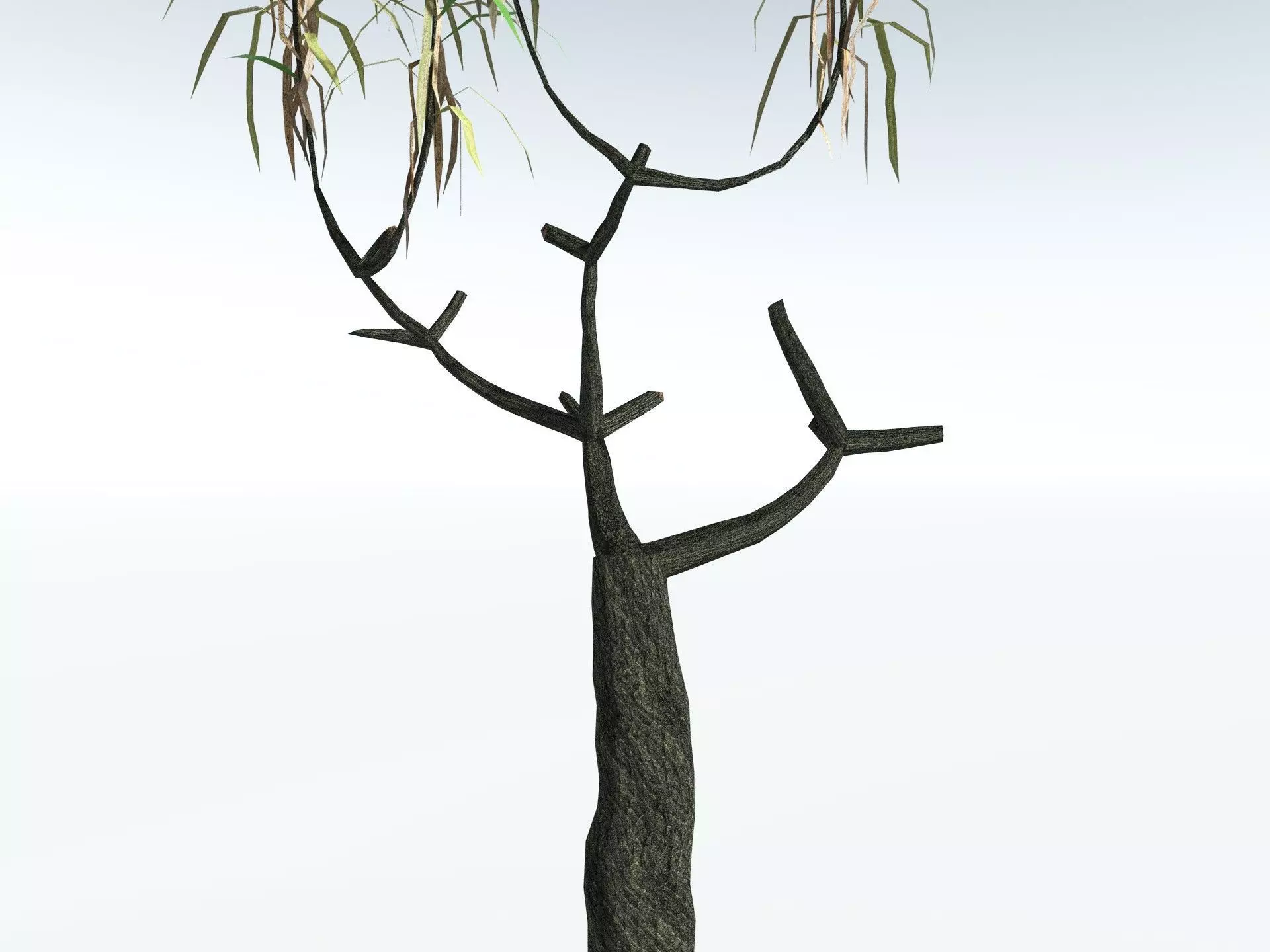 EVERYPlant Lepidodendron Aculeatum LowPoly Low-poly 3D model_17