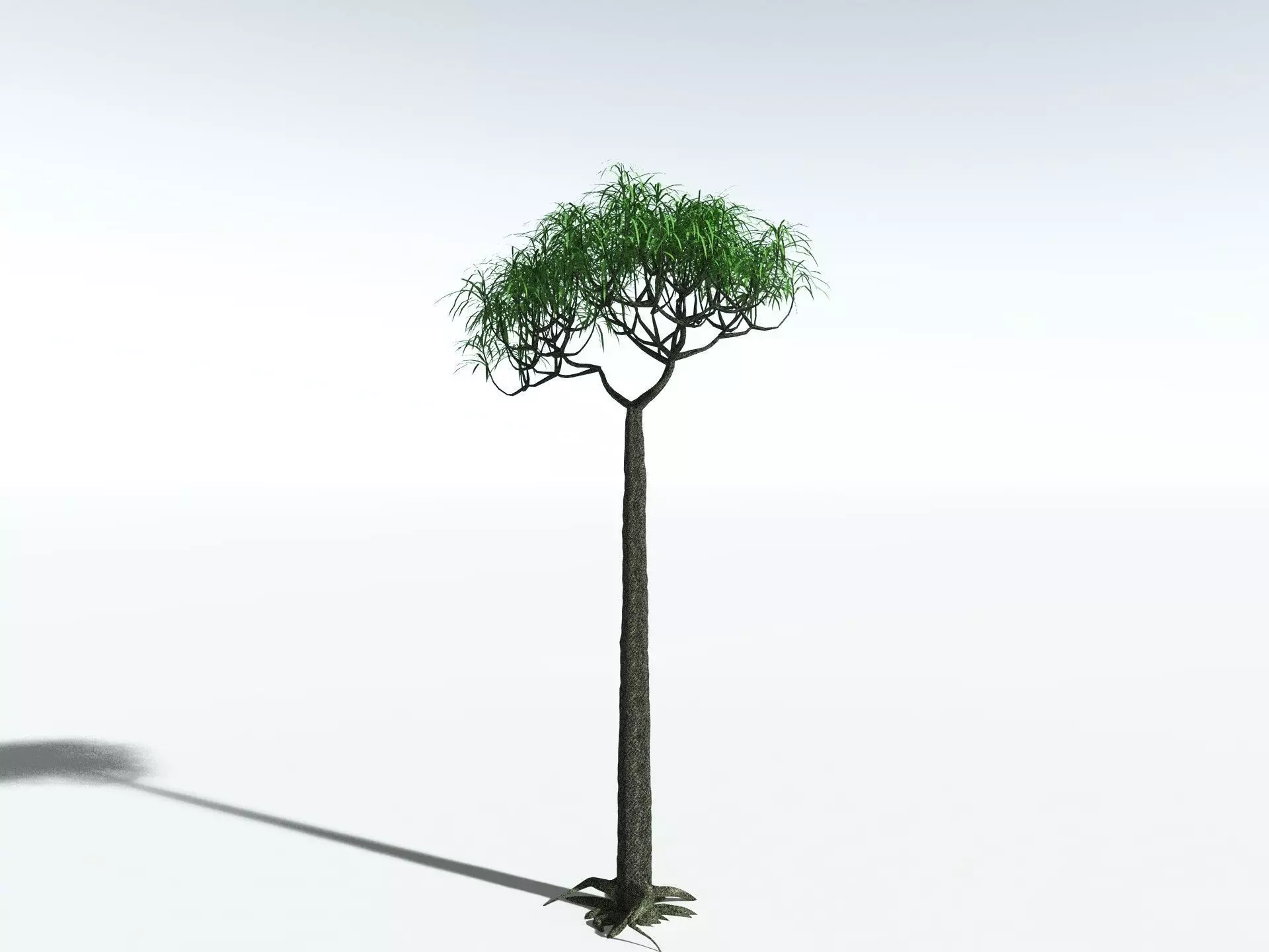 EVERYPlant Lepidodendron Aculeatum LowPoly Low-poly 3D model_10