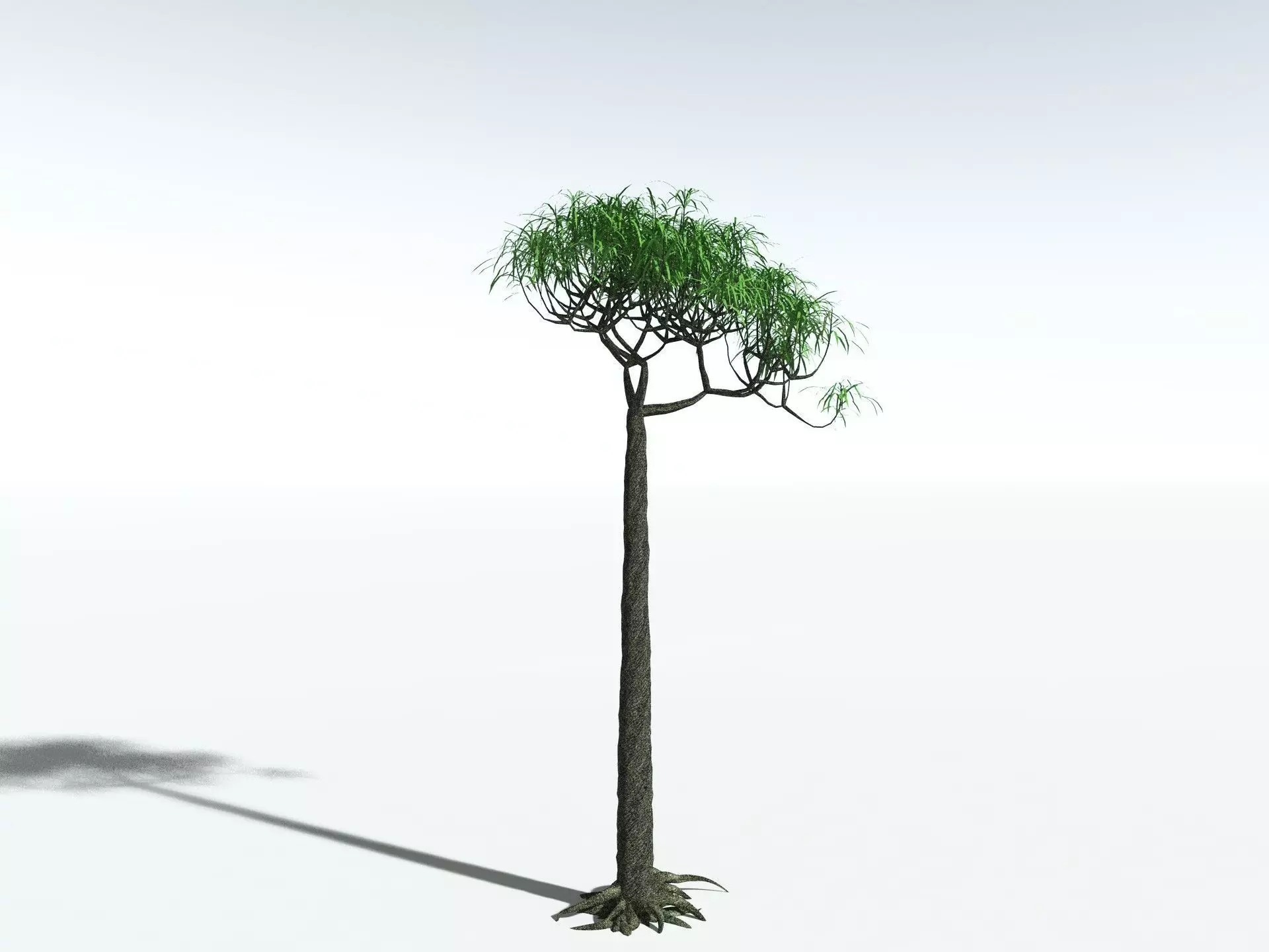 EVERYPlant Lepidodendron Aculeatum LowPoly Low-poly 3D model_4