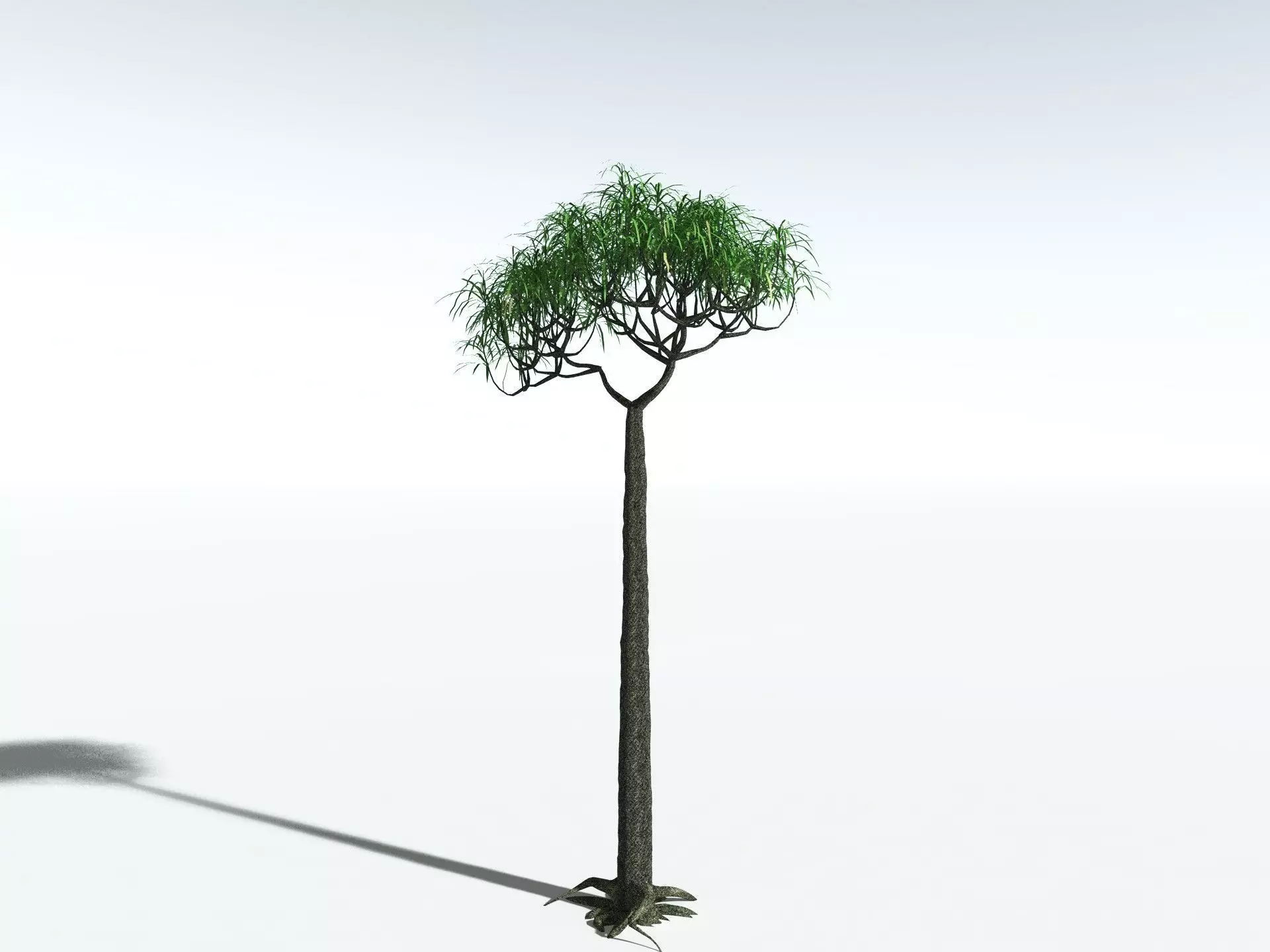 EVERYPlant Lepidodendron Aculeatum LowPoly Low-poly 3D model_0