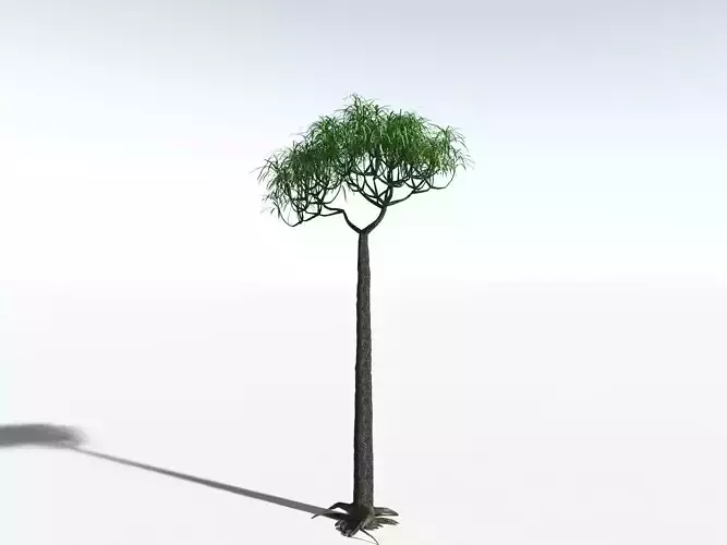 EVERYPlant Lepidodendron Aculeatum LowPoly Low-poly 3D model