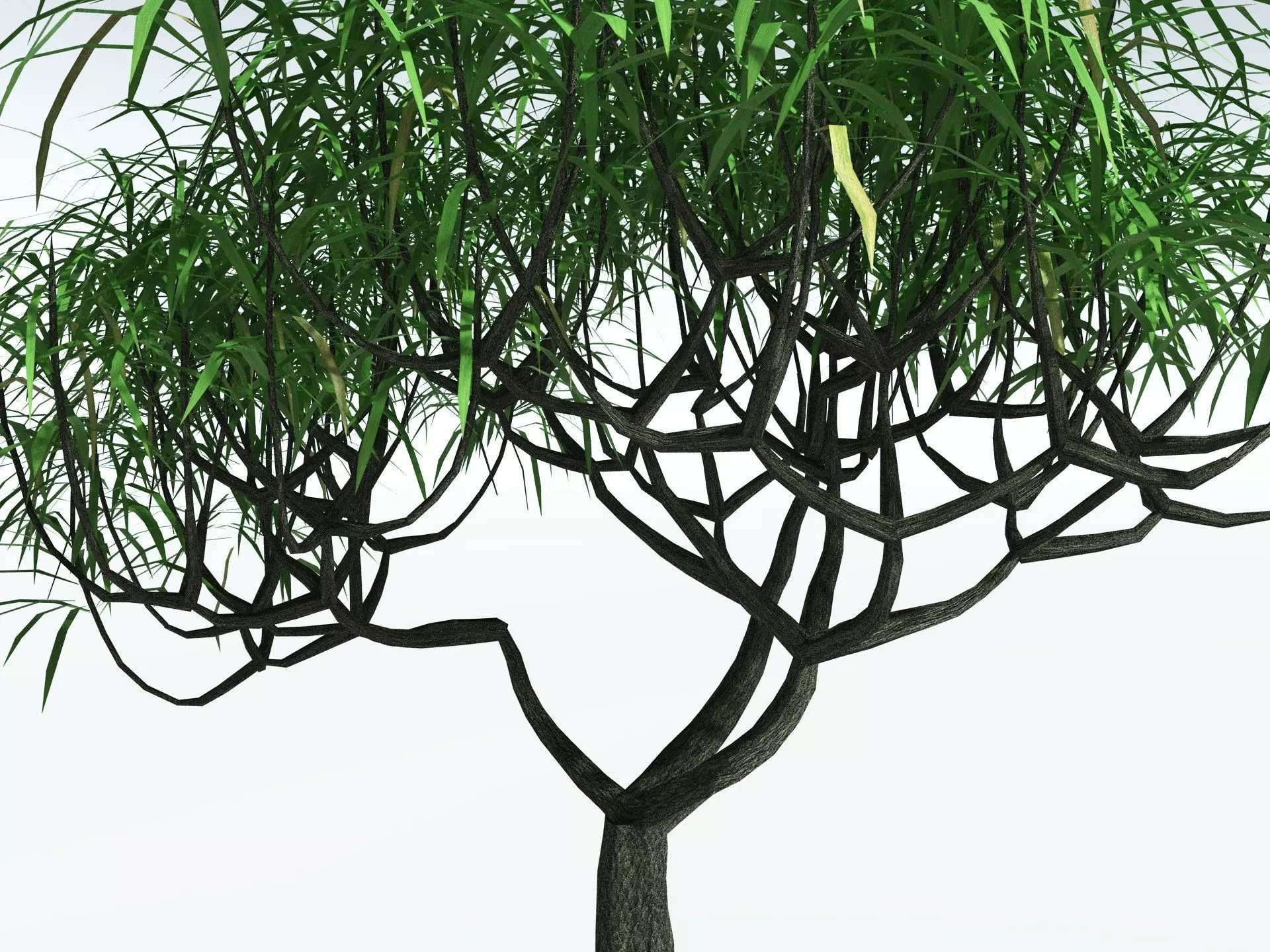 EVERYPlant Lepidodendron Aculeatum LowPoly Low-poly 3D model_1