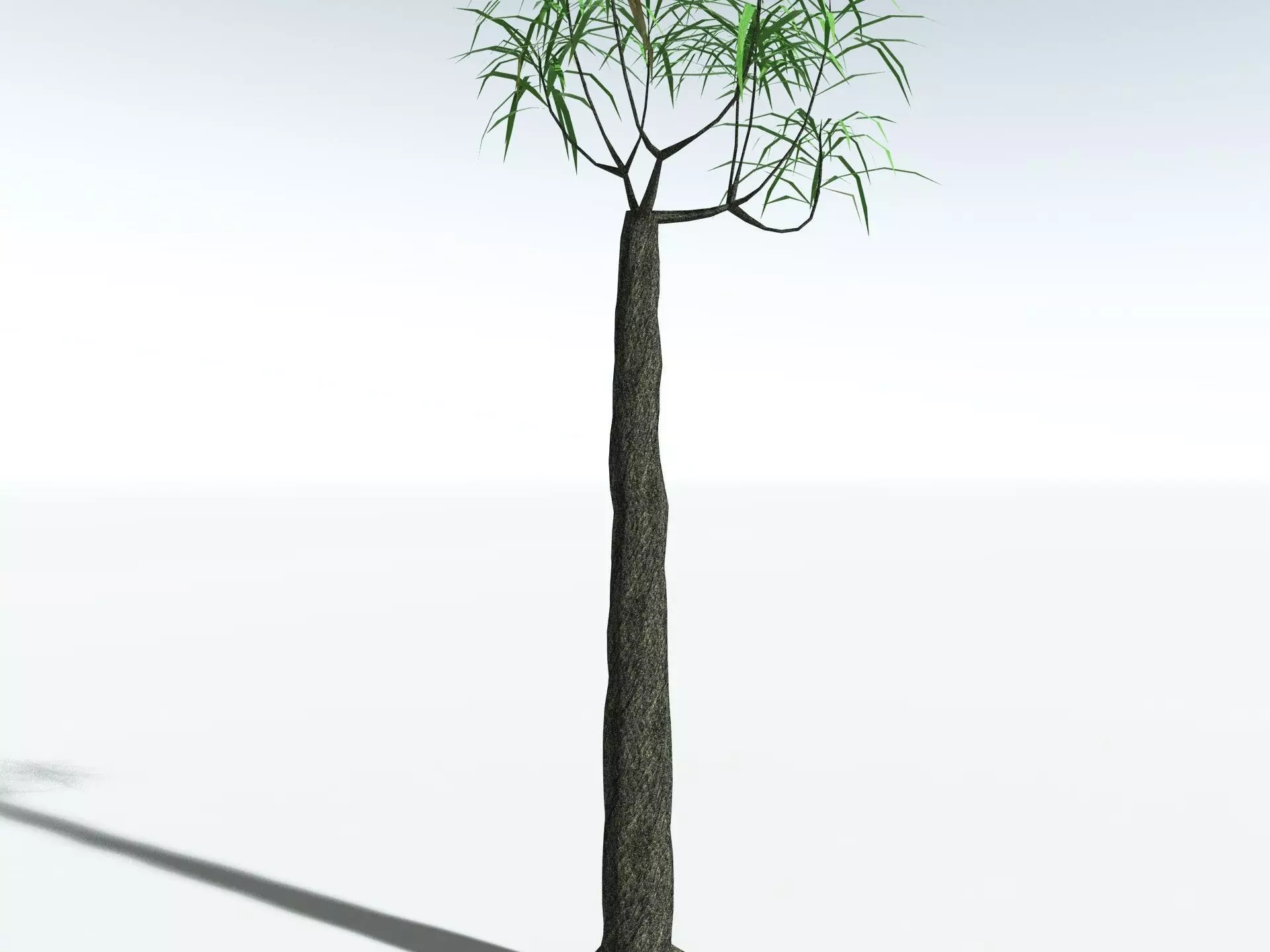 EVERYPlant Lepidodendron Aculeatum LowPoly Low-poly 3D model_25