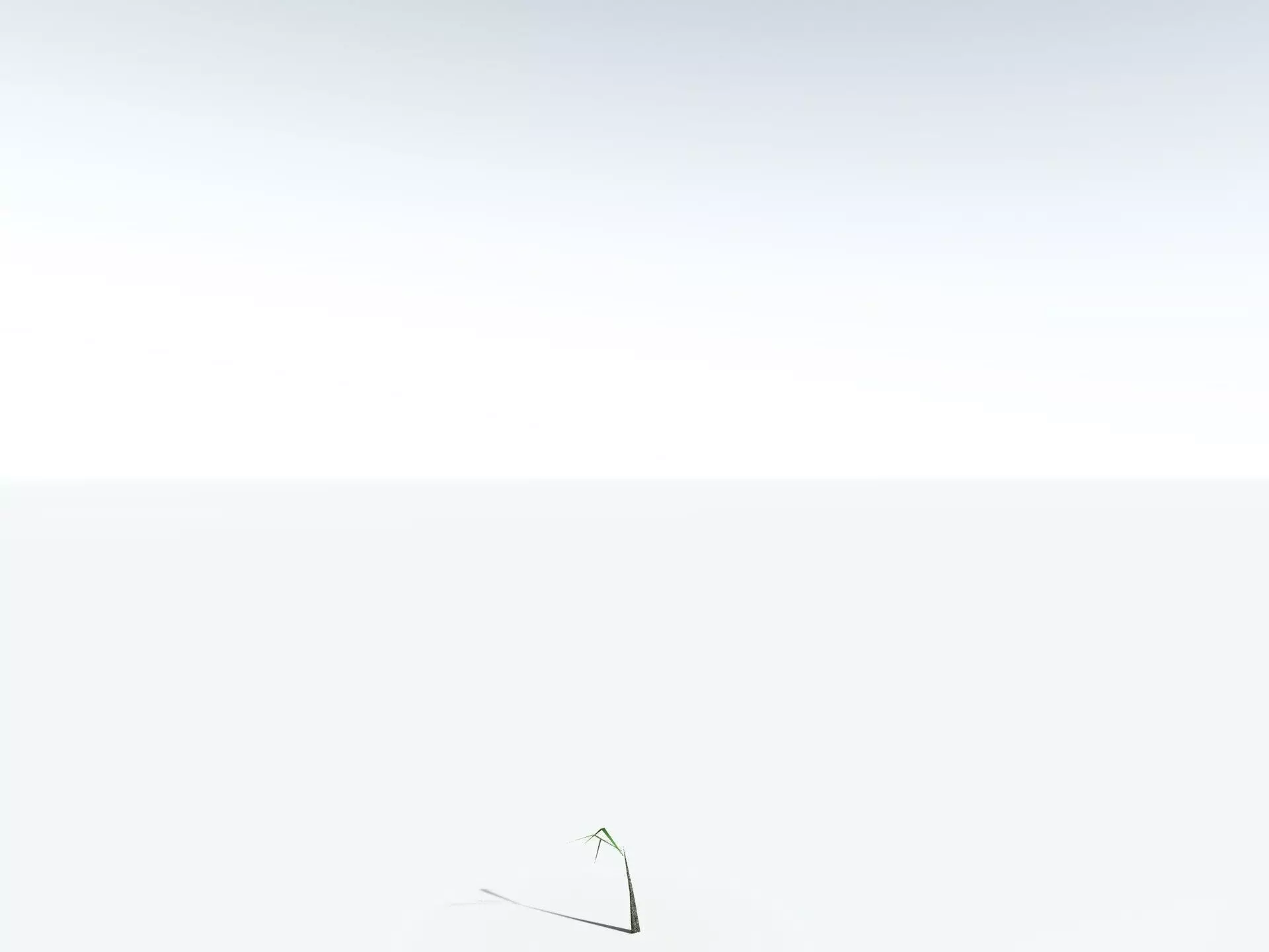 EVERYPlant Lepidodendron Aculeatum LowPoly Low-poly 3D model_31