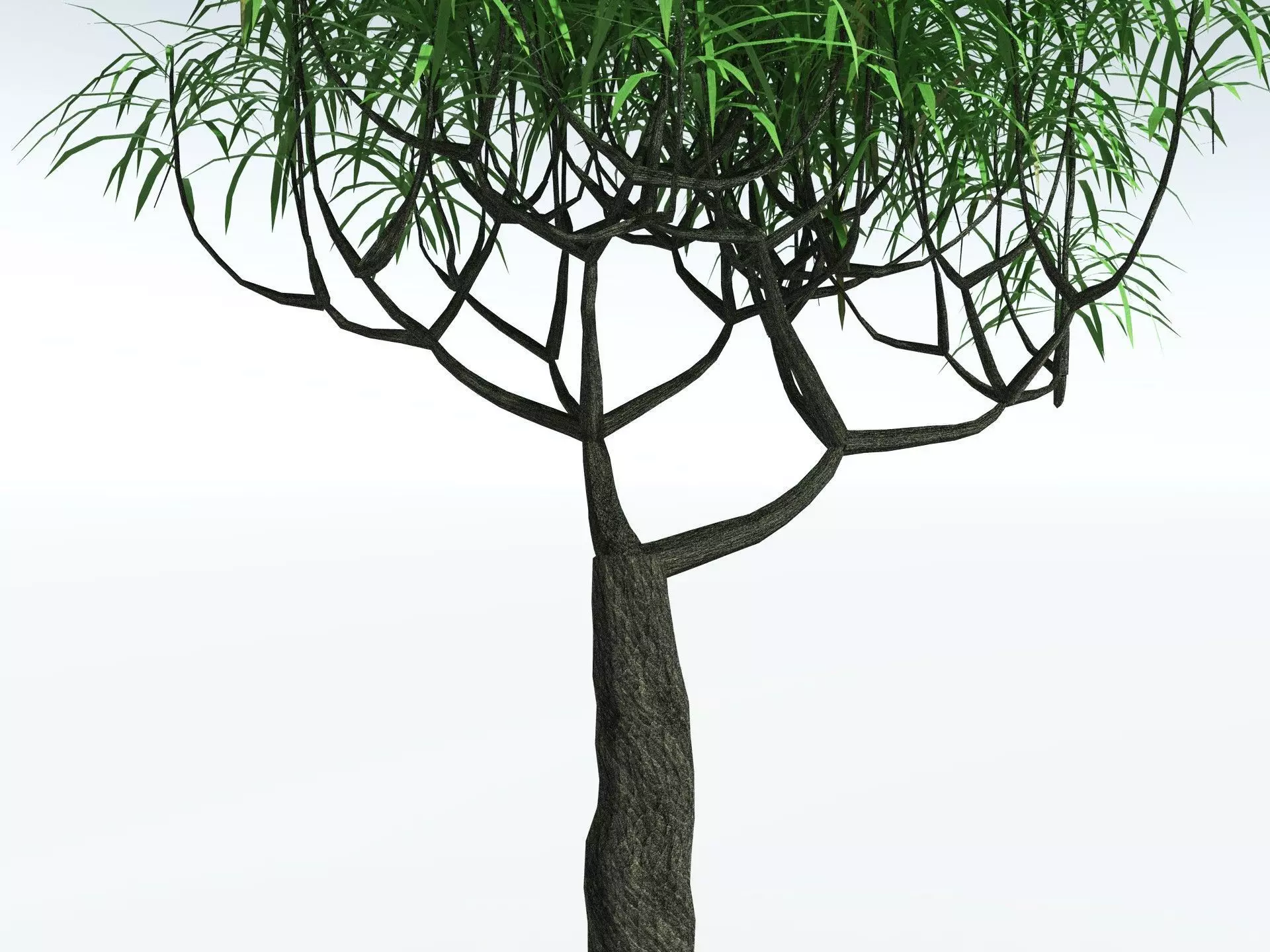 EVERYPlant Lepidodendron Aculeatum LowPoly Low-poly 3D model_7