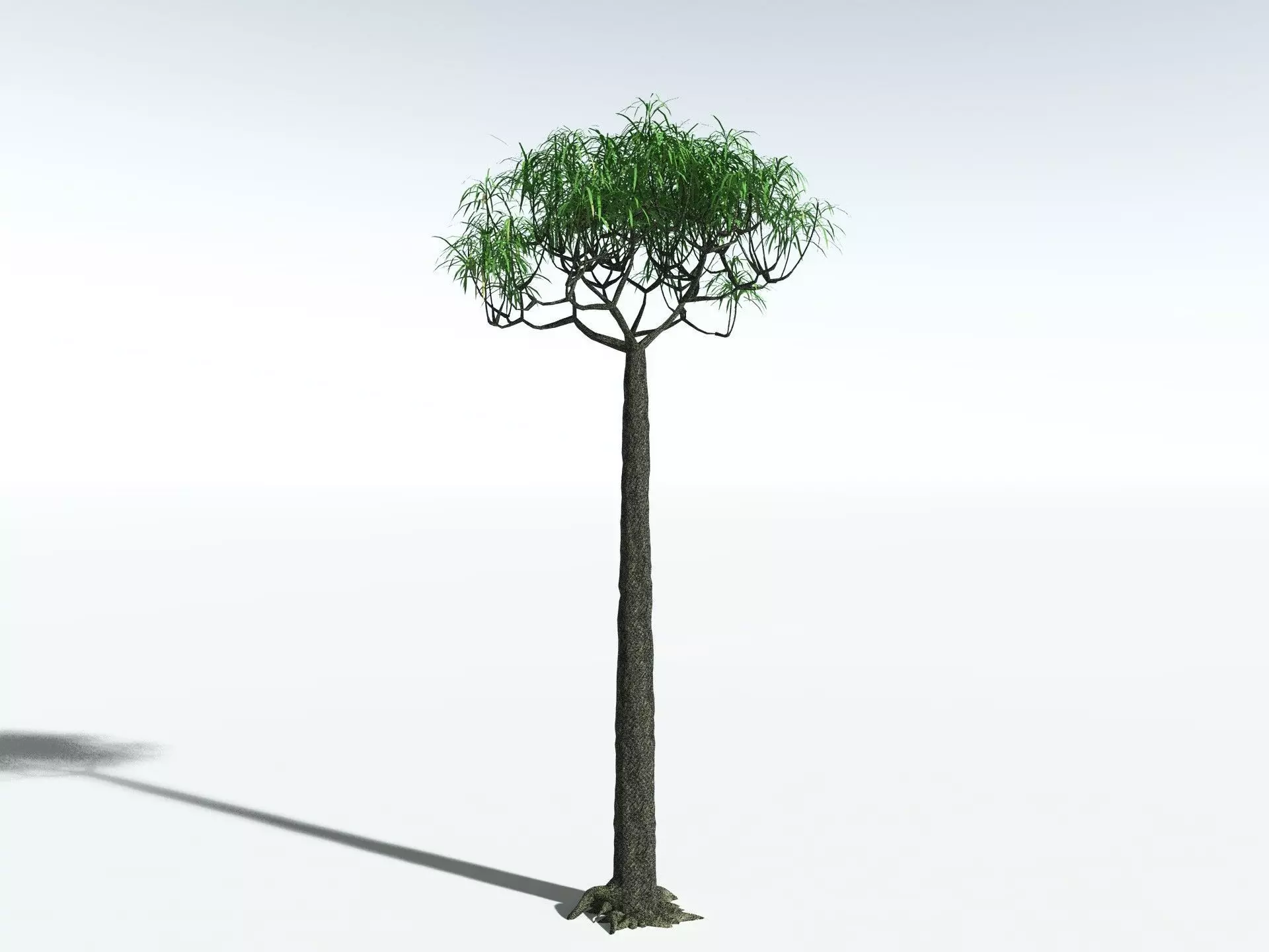 EVERYPlant Lepidodendron Aculeatum LowPoly Low-poly 3D model_8