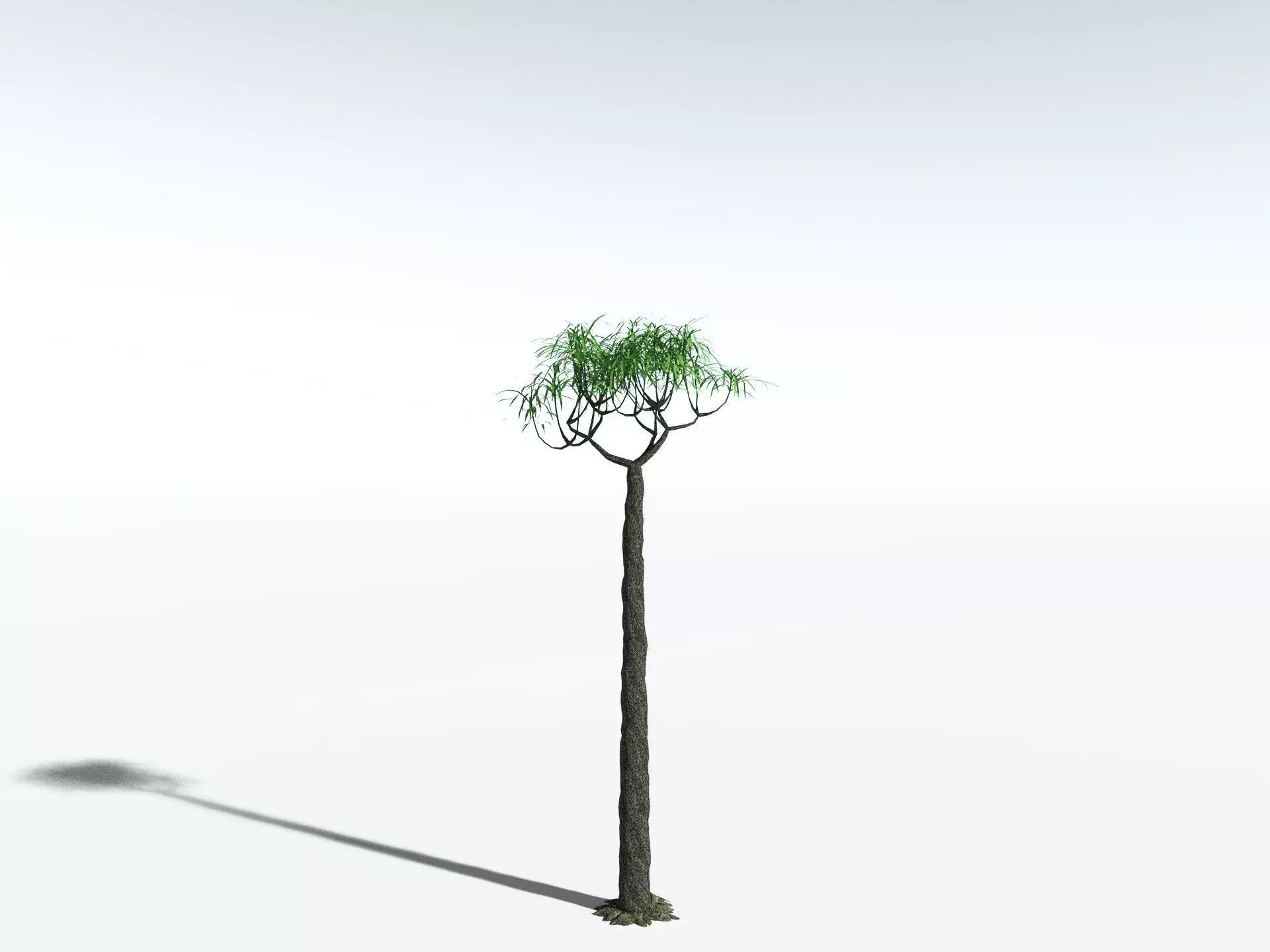 EVERYPlant Lepidodendron Aculeatum LowPoly Low-poly 3D model_22