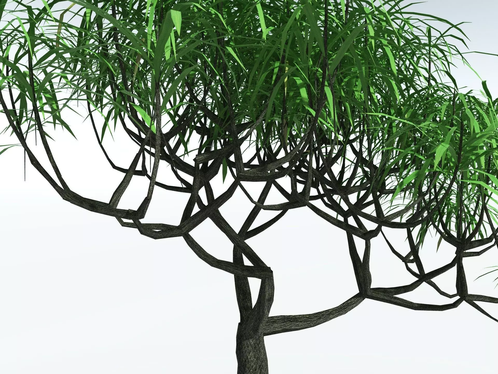 EVERYPlant Lepidodendron Aculeatum LowPoly Low-poly 3D model_5