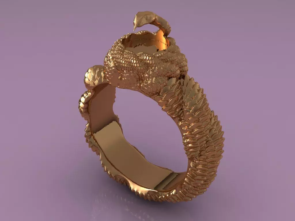Ring Man 3D print model