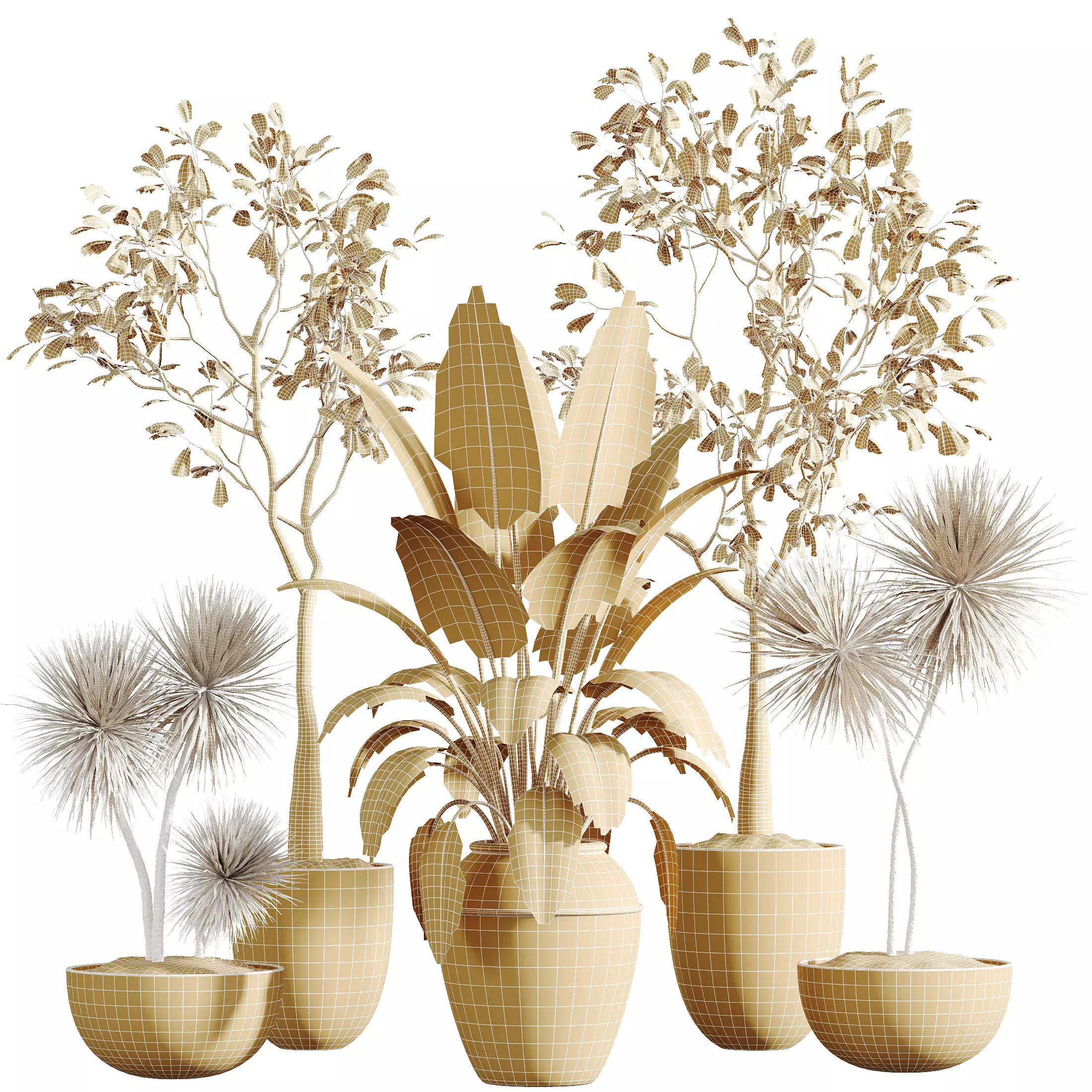 AV Indoor Plants Set 277 Yucca Palm Ficus 3D model_8