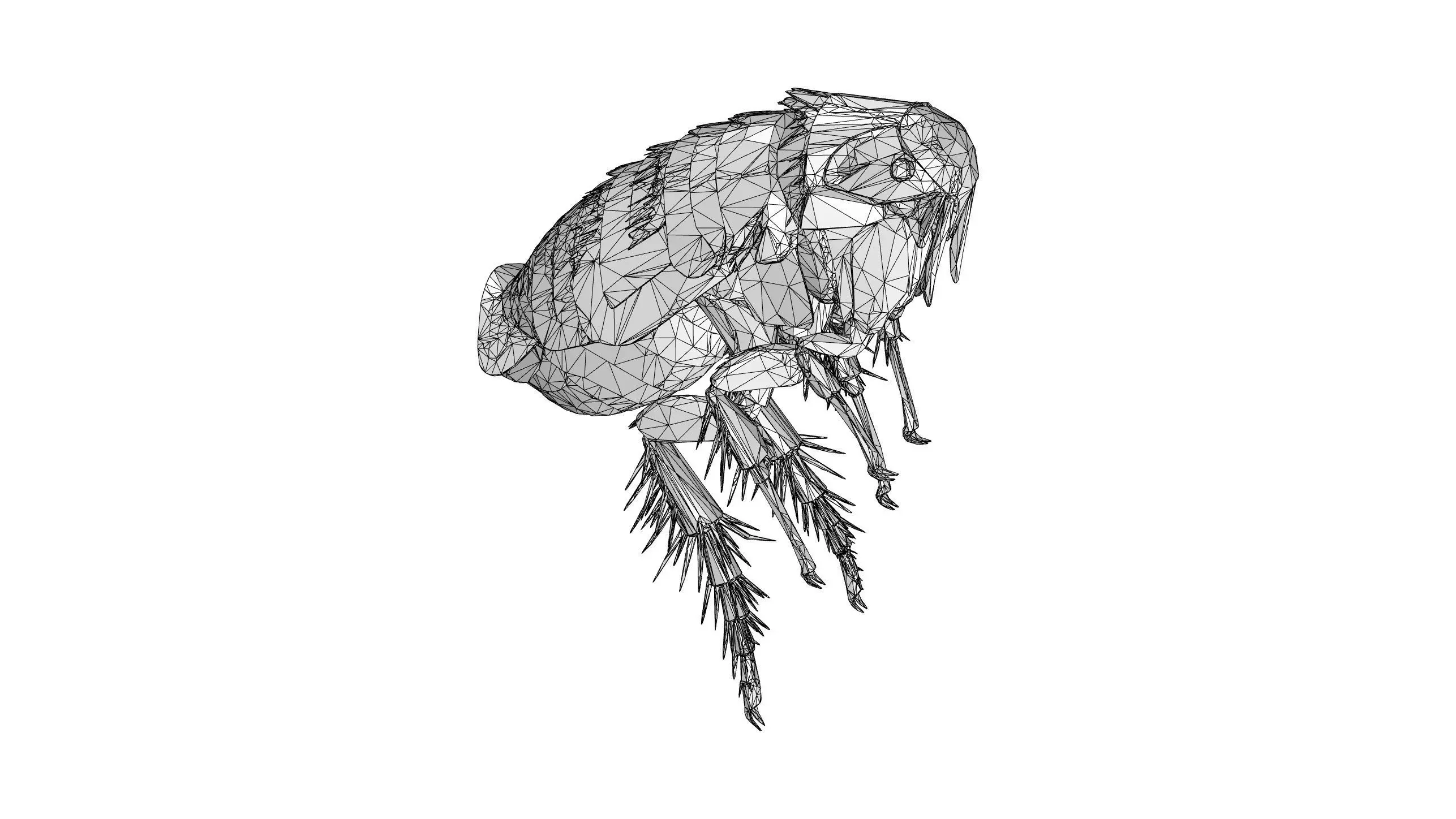 Home Flea 3D model_7