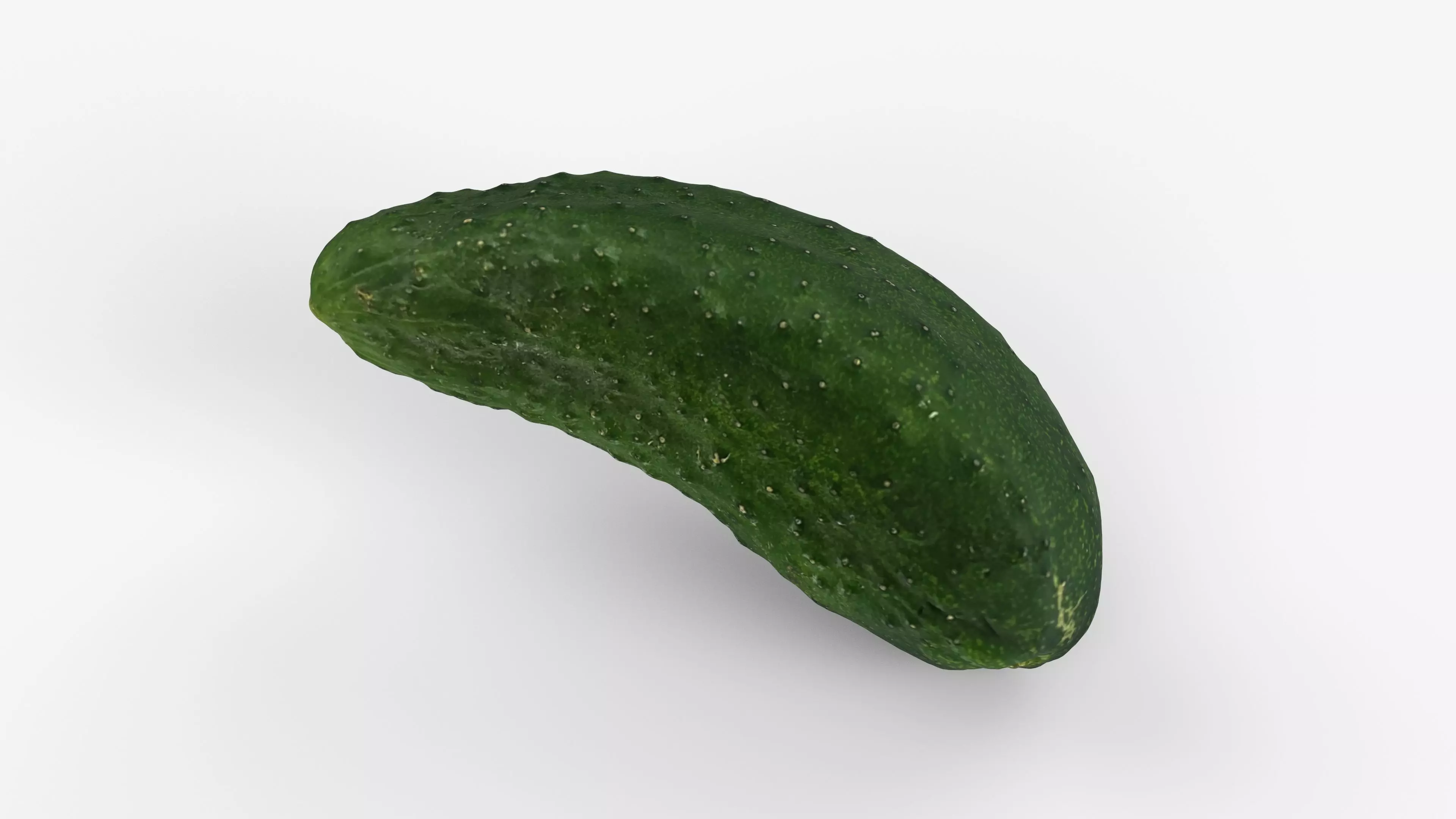Photorealistic 3D scan of cucumber - Fresh Whole Vegetable Low-poly 3D model_9