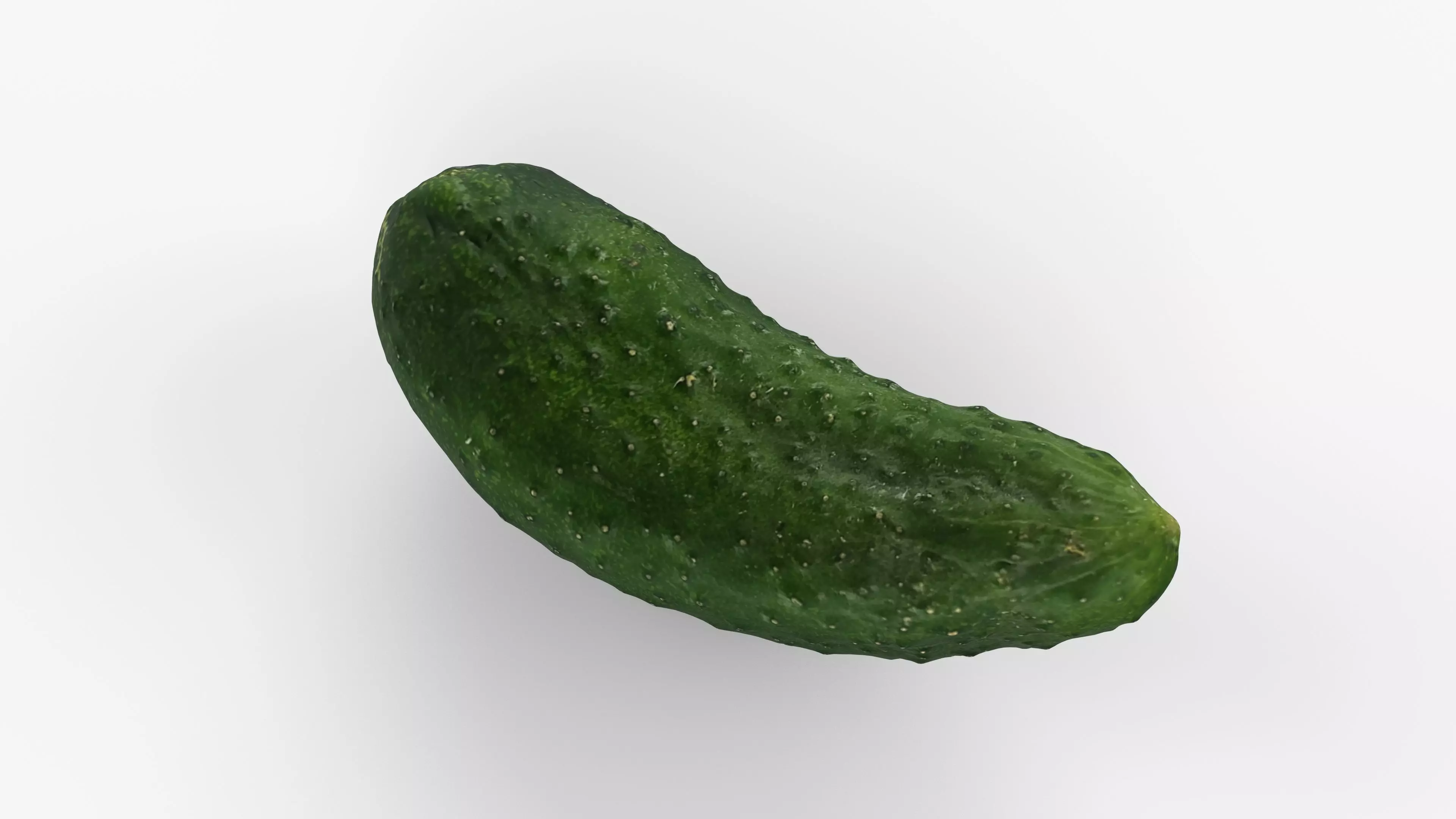 Photorealistic 3D scan of cucumber - Fresh Whole Vegetable Low-poly 3D model_4