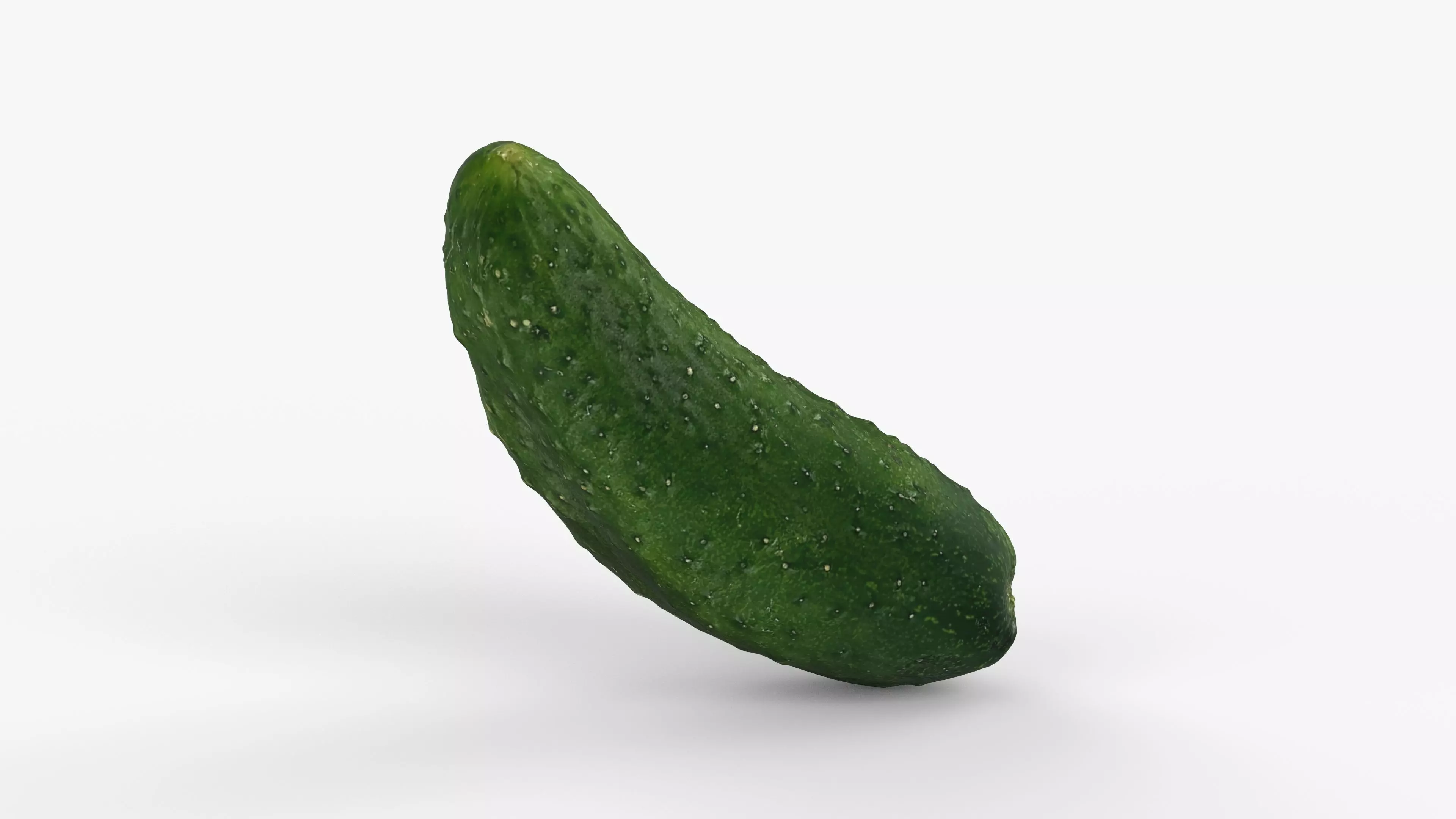Photorealistic 3D scan of cucumber - Fresh Whole Vegetable Low-poly 3D model_6