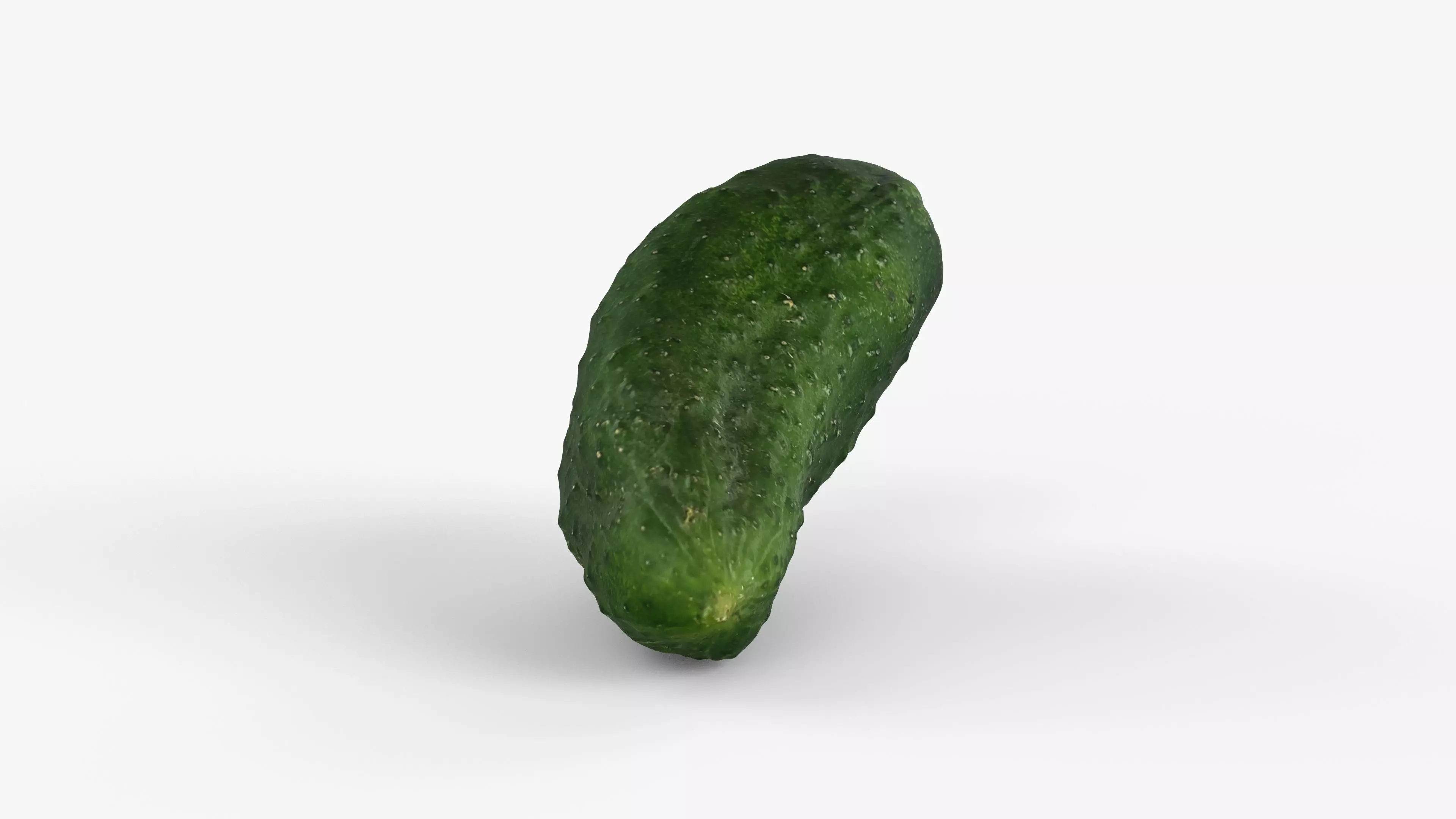 Photorealistic 3D scan of cucumber - Fresh Whole Vegetable Low-poly 3D model_13