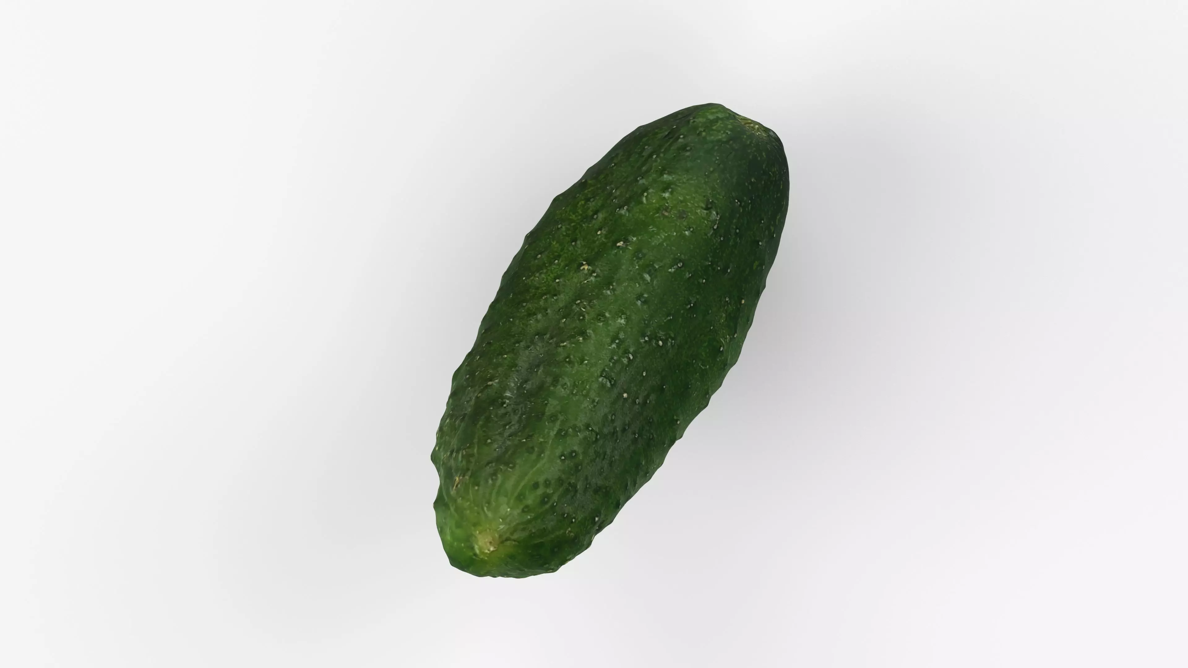Photorealistic 3D scan of cucumber - Fresh Whole Vegetable Low-poly 3D model_12