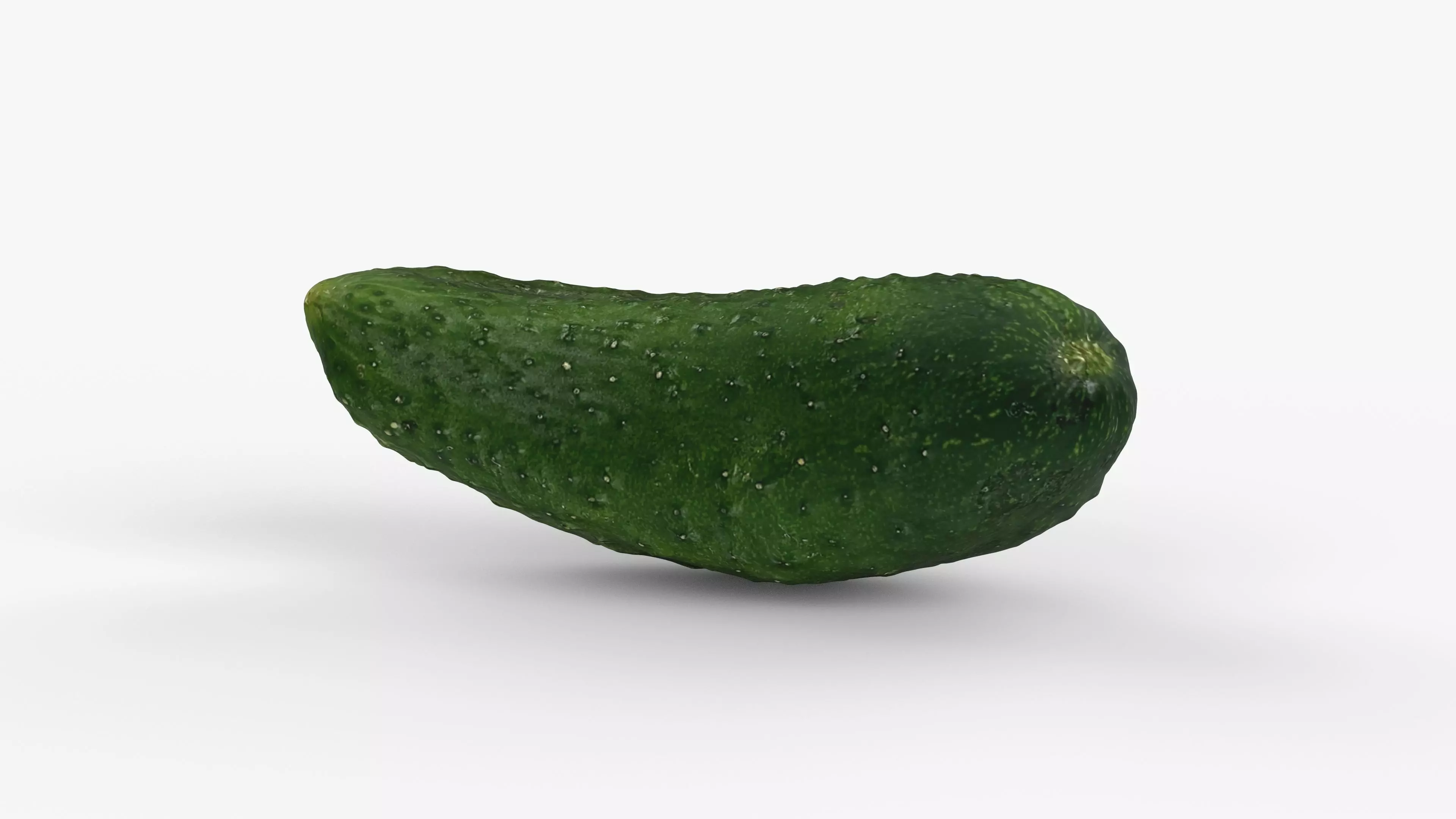 Photorealistic 3D scan of cucumber - Fresh Whole Vegetable Low-poly 3D model_2