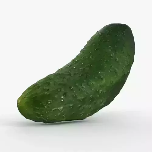 Photorealistic 3D scan of cucumber - Fresh Whole Vegetable Low-poly 3D model