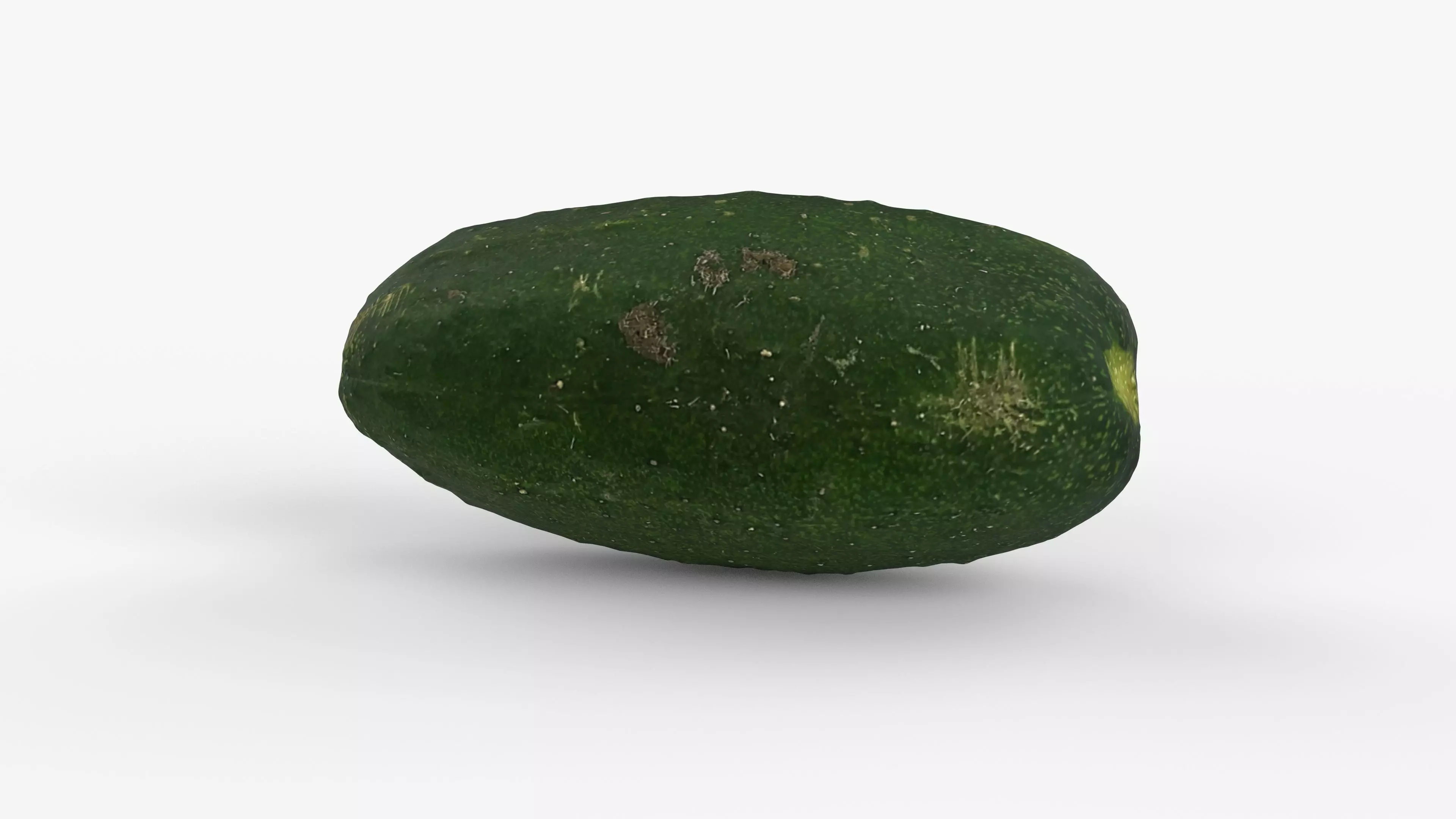 Photorealistic 3D scan of cucumber - Fresh Whole Vegetable Low-poly 3D model_2
