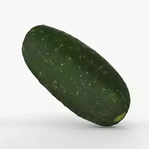 Photorealistic 3D scan of cucumber - Fresh Whole Vegetable Low-poly 3D model