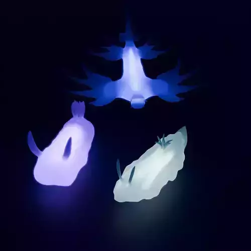  Sea slugs Indirect lighting