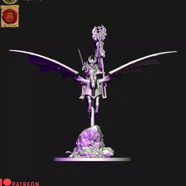 Dark elves hero with banner on Nightmare pegasus 3D print model_6
