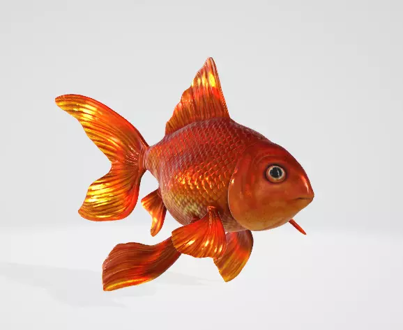 Goldfish 3D model_0