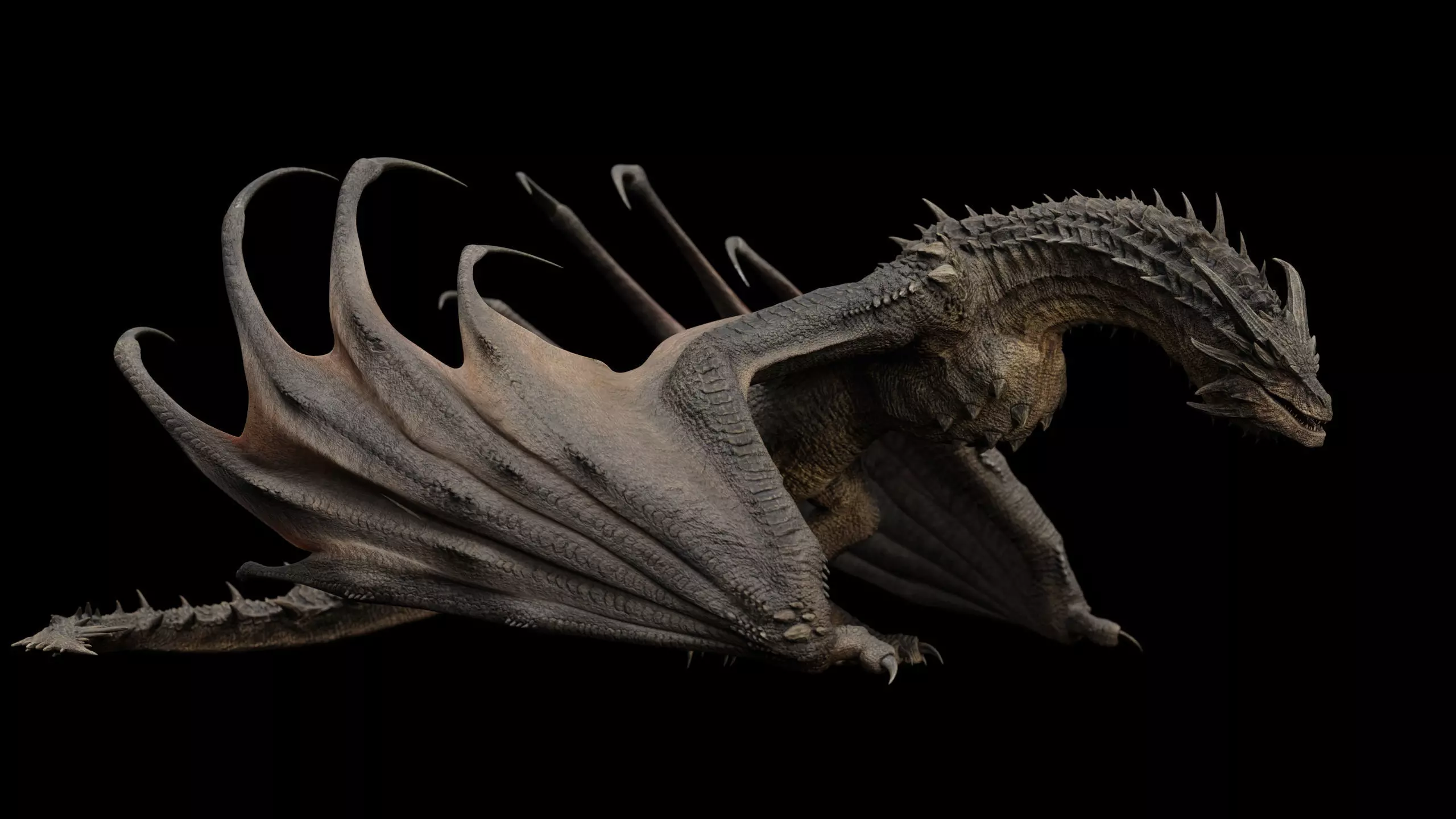 High-Quality 3D Dragons 3D Model Collection_18
