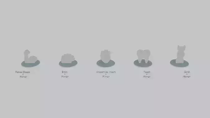 Body and Biology Mini pack 3D print model