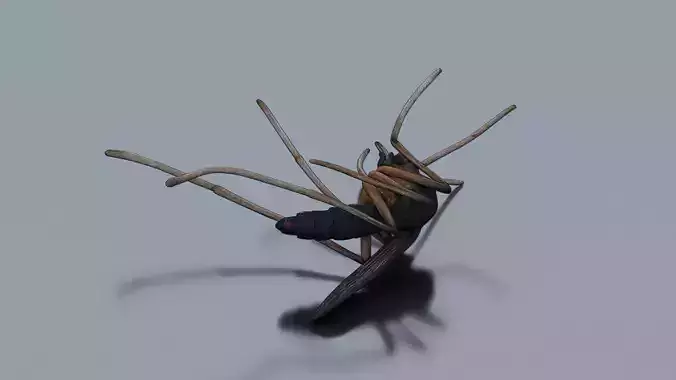 Dead mosquito Low-poly 3D model