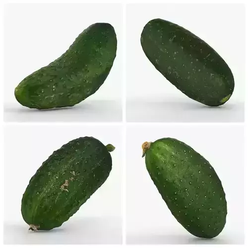 Photorealistic 3D scan of cucumbers 3D Model Collection 