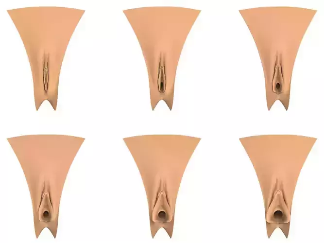 3D Print Ready Vagina Stage Collection 3D print model