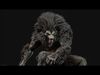 Werewolf Remaster Low-poly 3D model_1