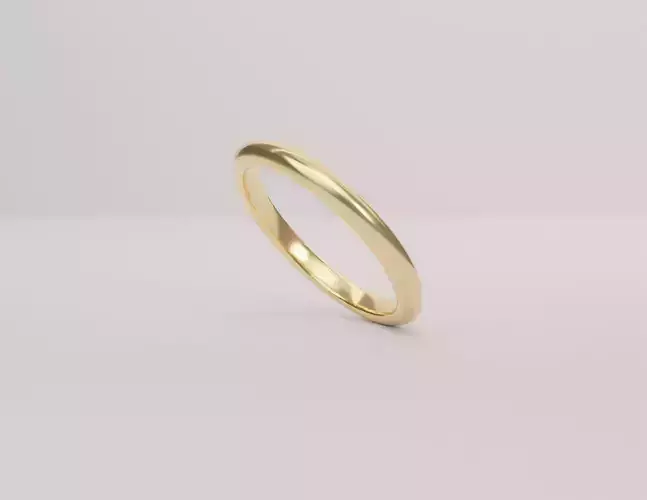Plain Ring Model 3D
