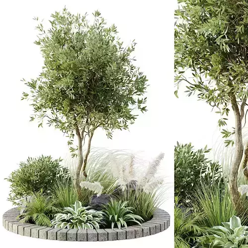outdoor plant set 05 3D model