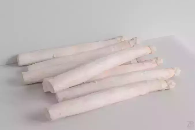 Asparagus 3D model