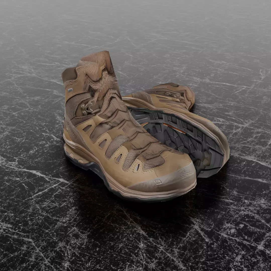 SALOMON QUEST 4D GTX 3D SHOES Low-poly 3D model_0
