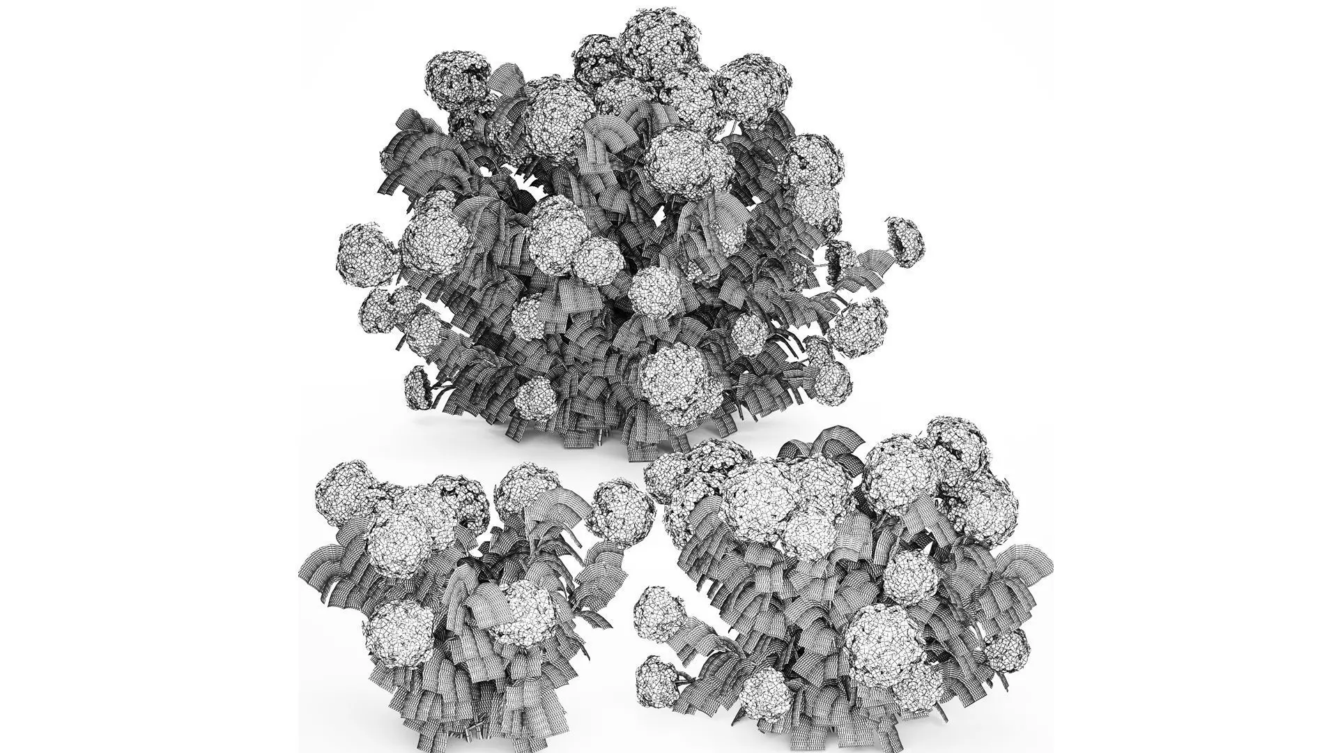 Bushes White Blue Hydrangea With Flowers Garden 1483 3D model_9