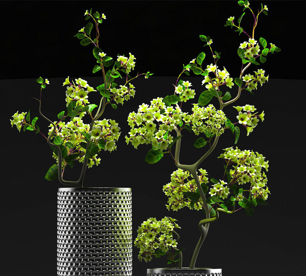 Flower Vase Set 3D model_1