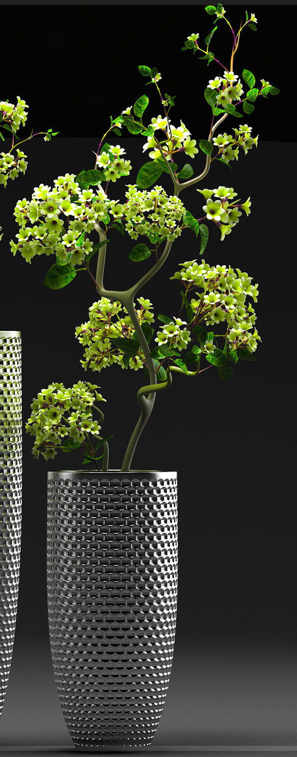 Flower Vase Set 3D model_3