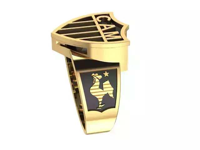 Anel Esportivo com Escudo Atletico Mineiro Modelo 3D 3D print model