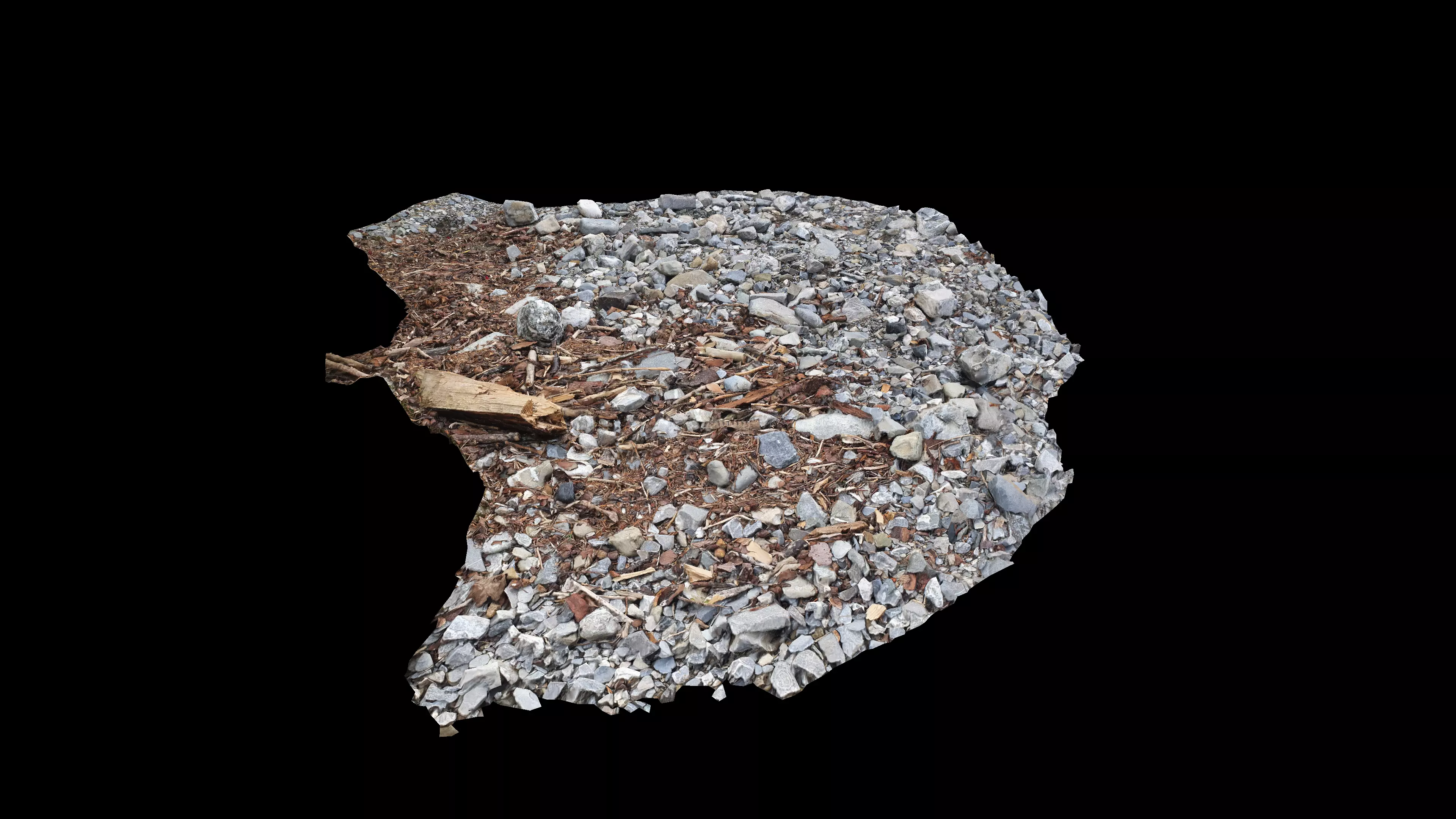 River bank with driftwood debris Low-poly 3D model_6